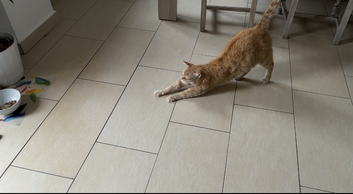 image-13