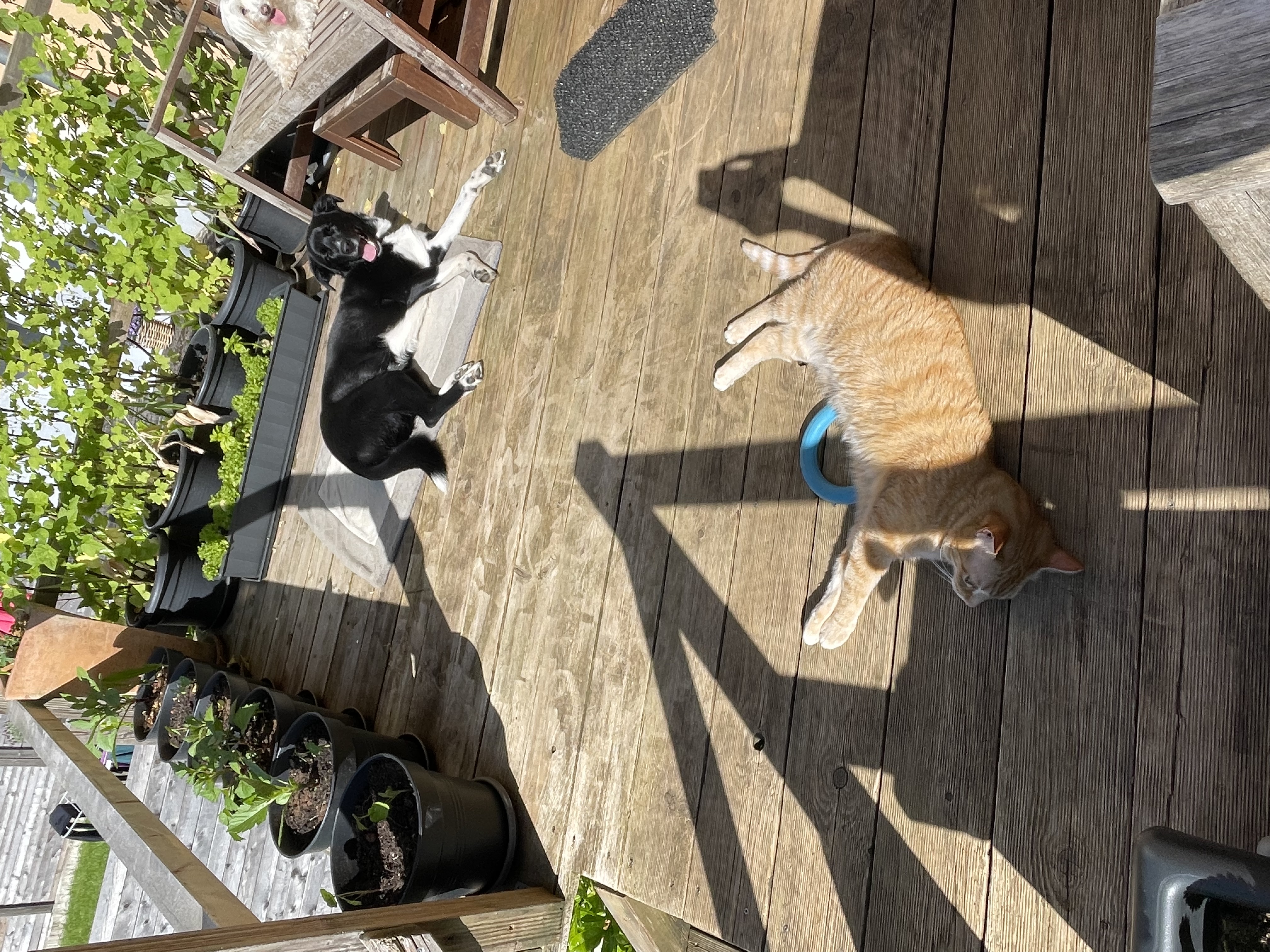 image-14