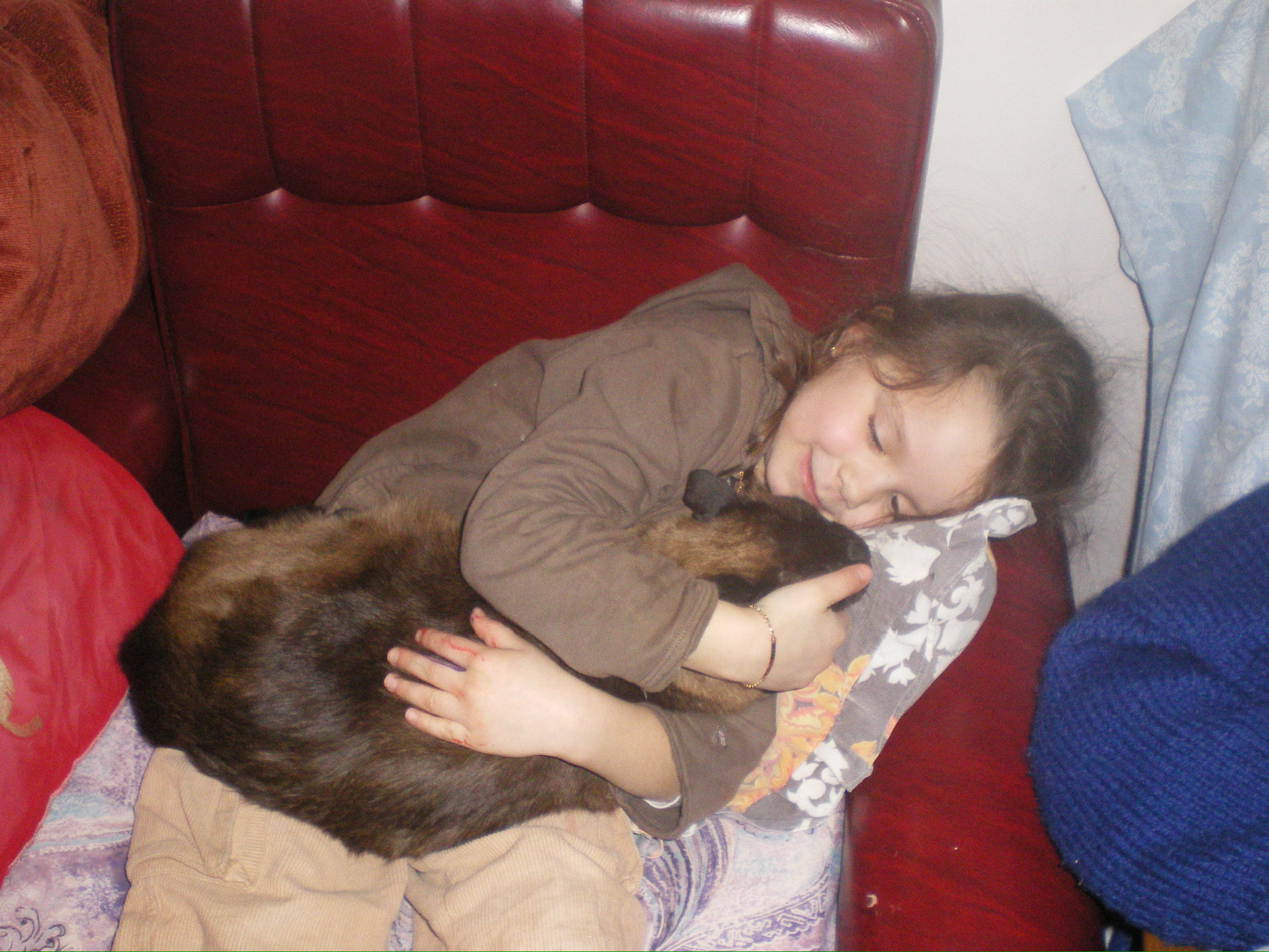image-11