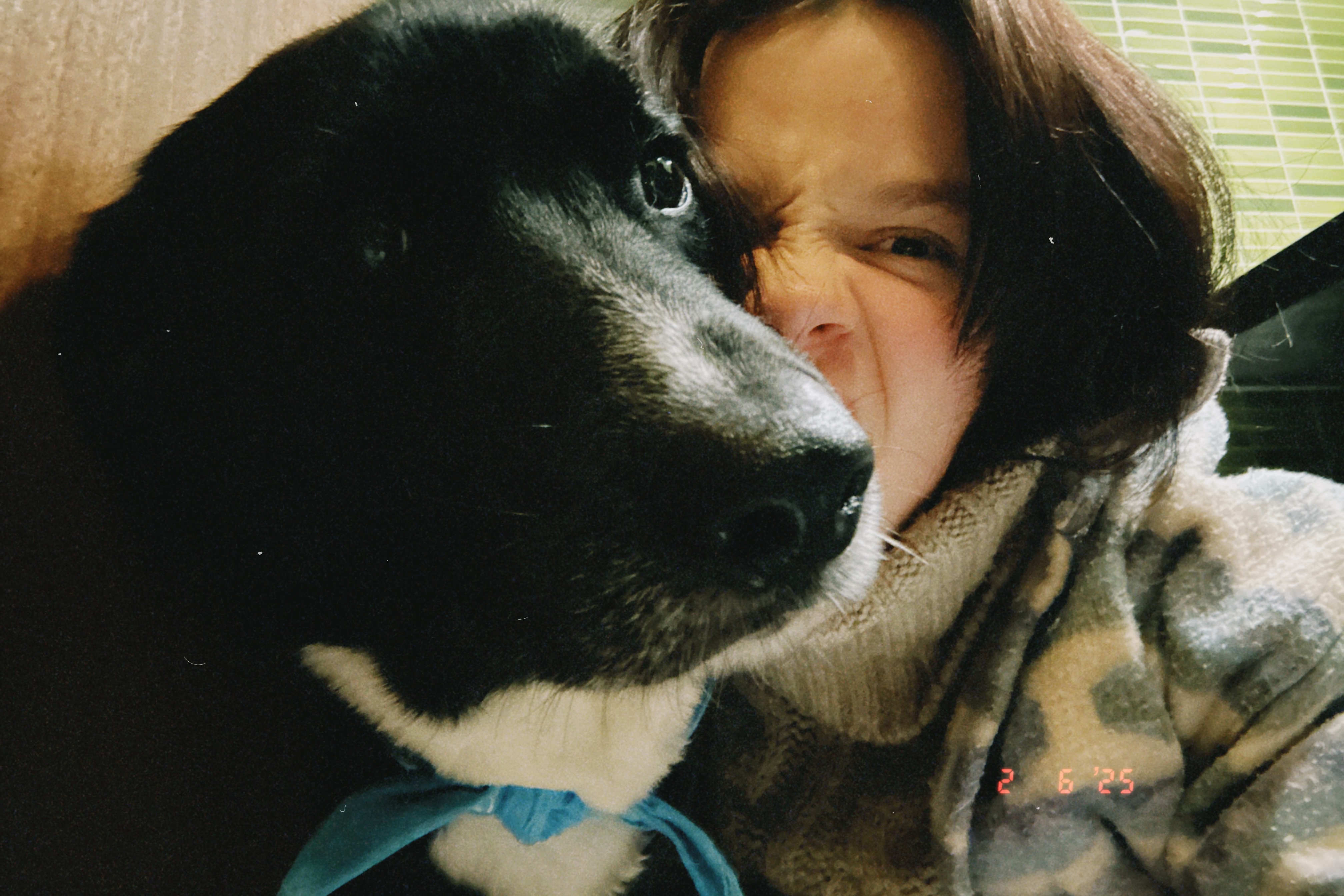 image-9