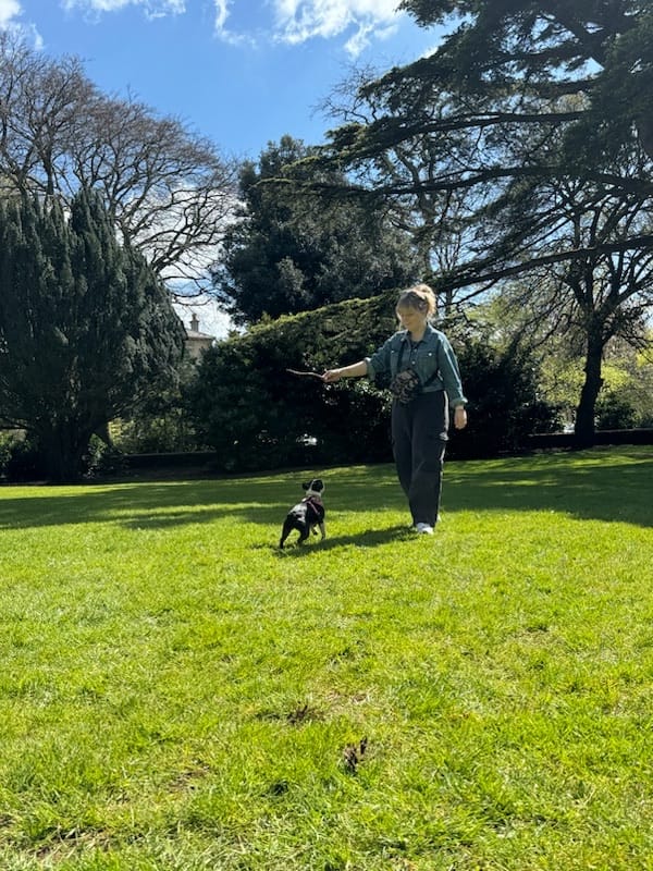 image-6