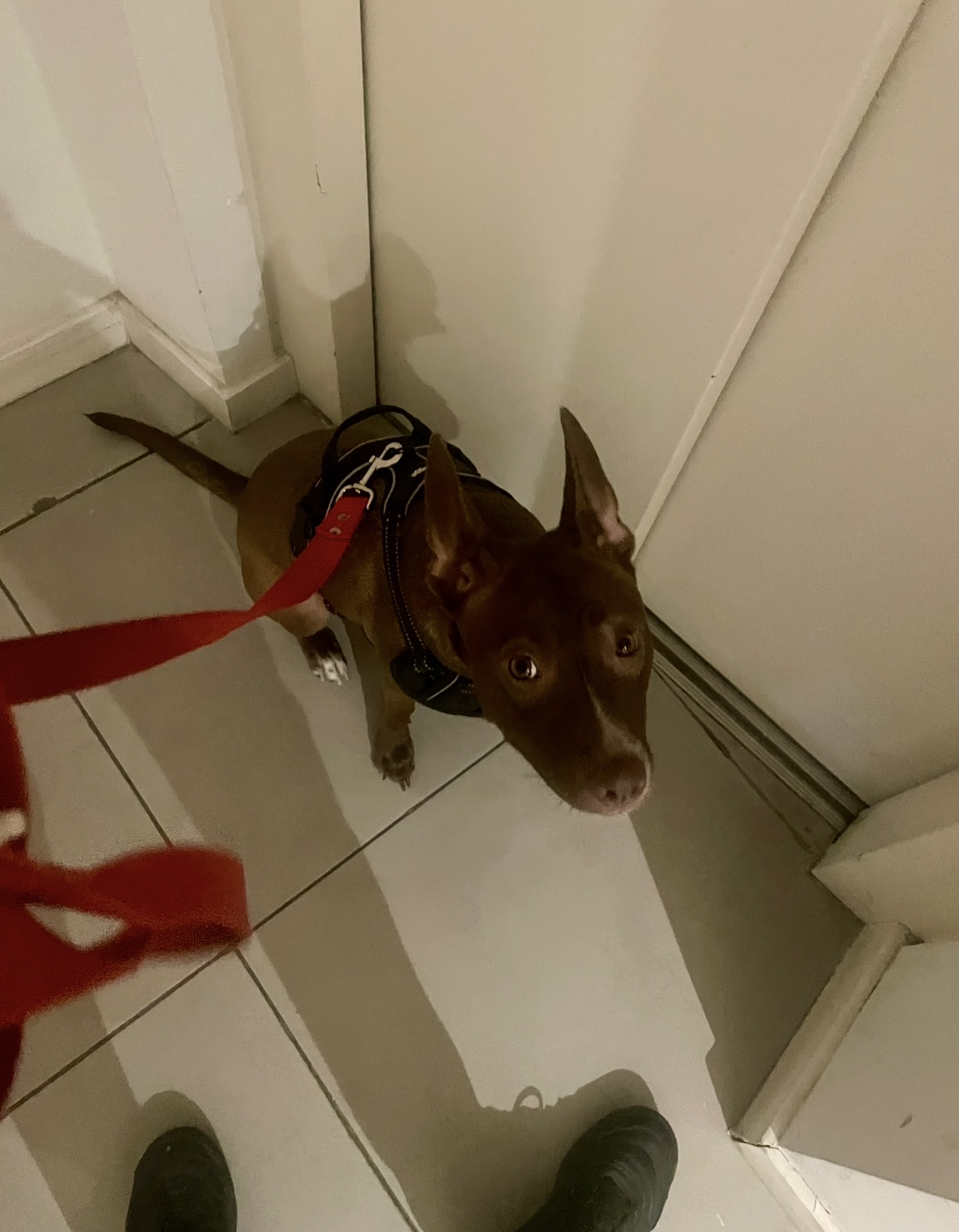 image-32