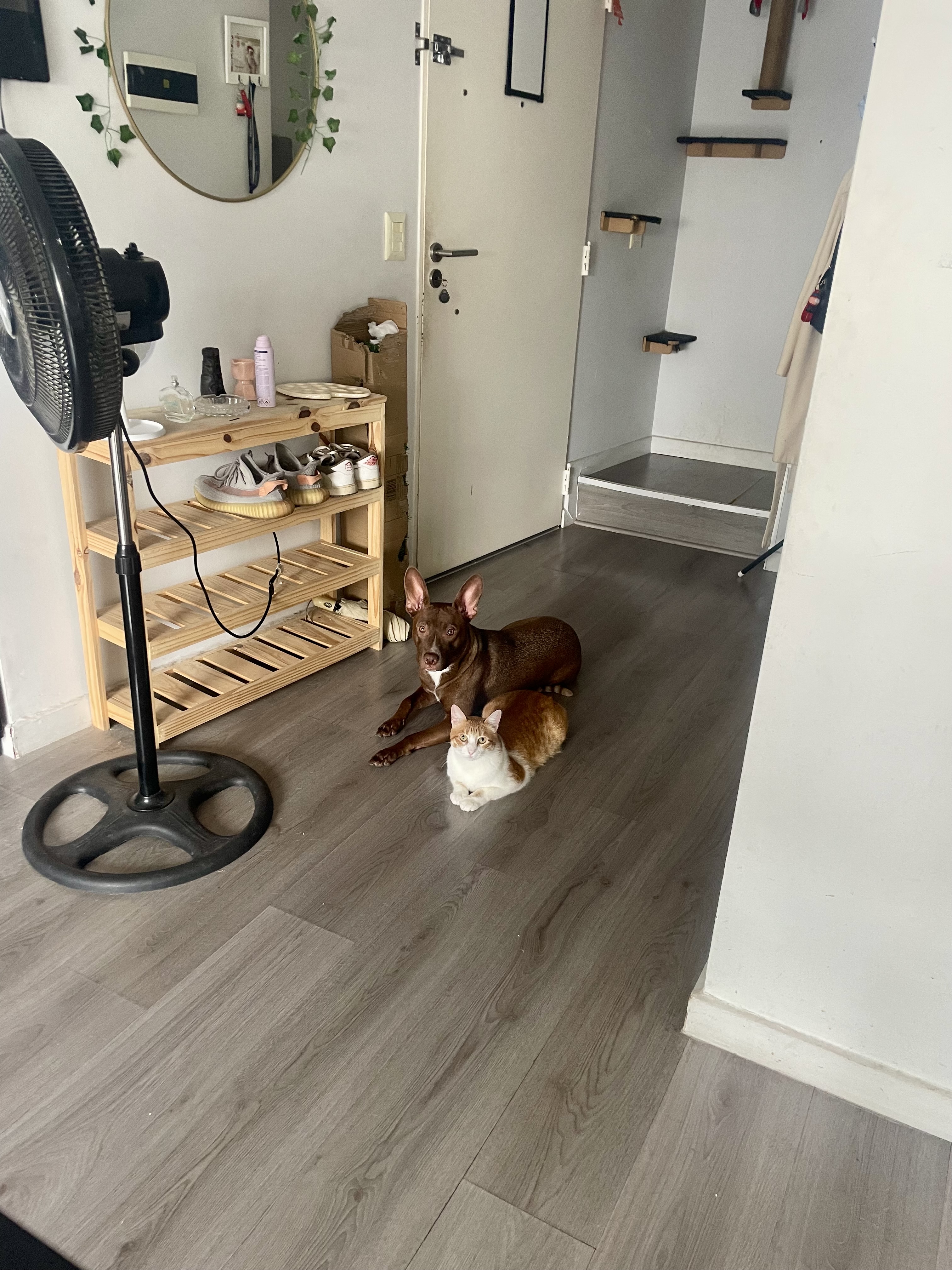 image-16
