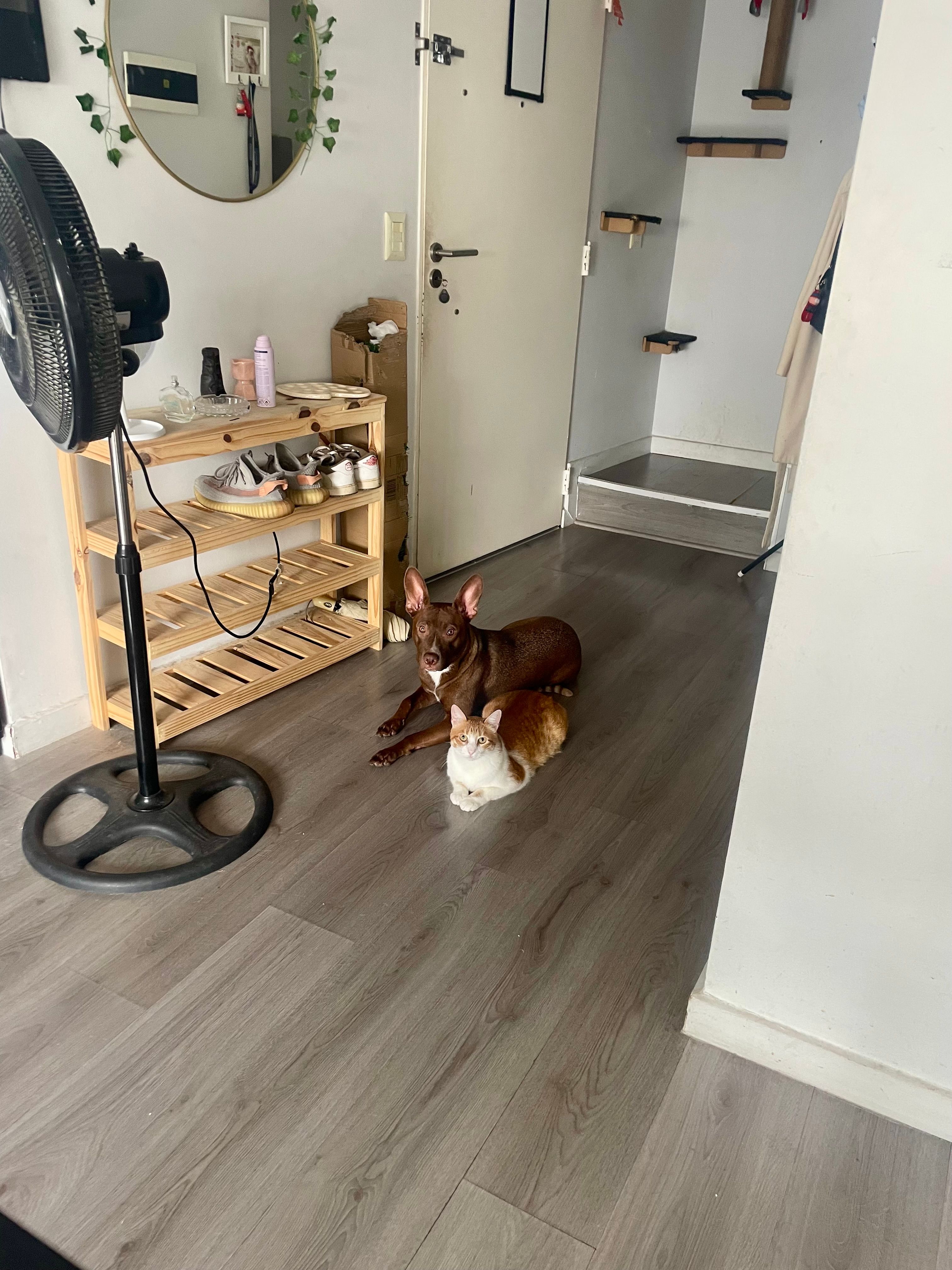 image-16