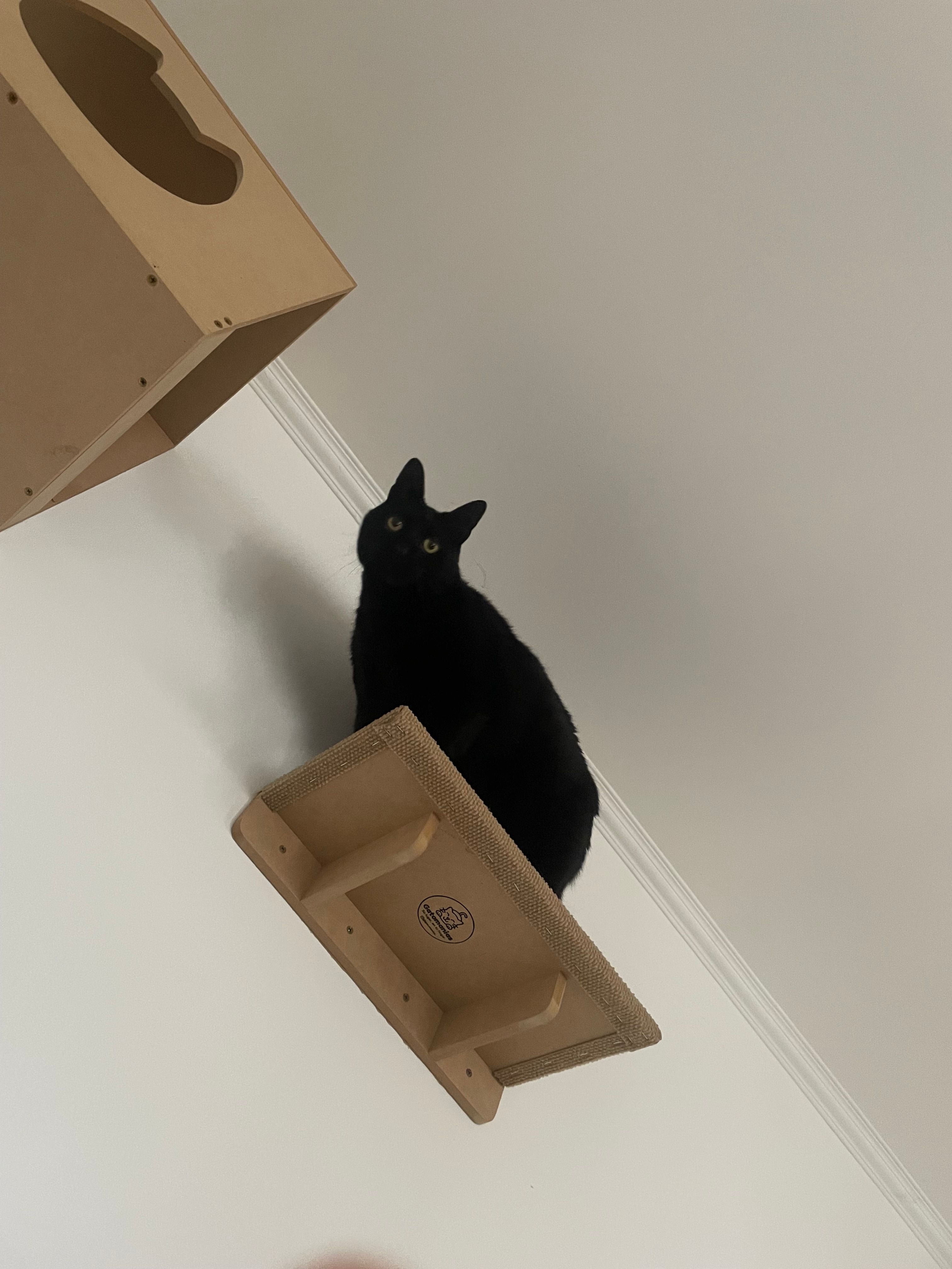 image-6