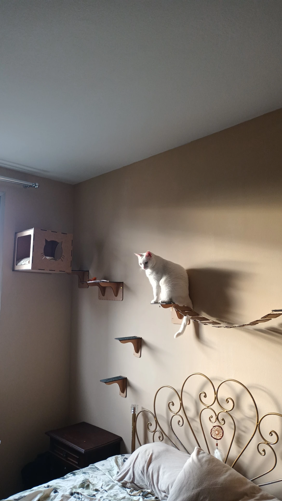 image-8