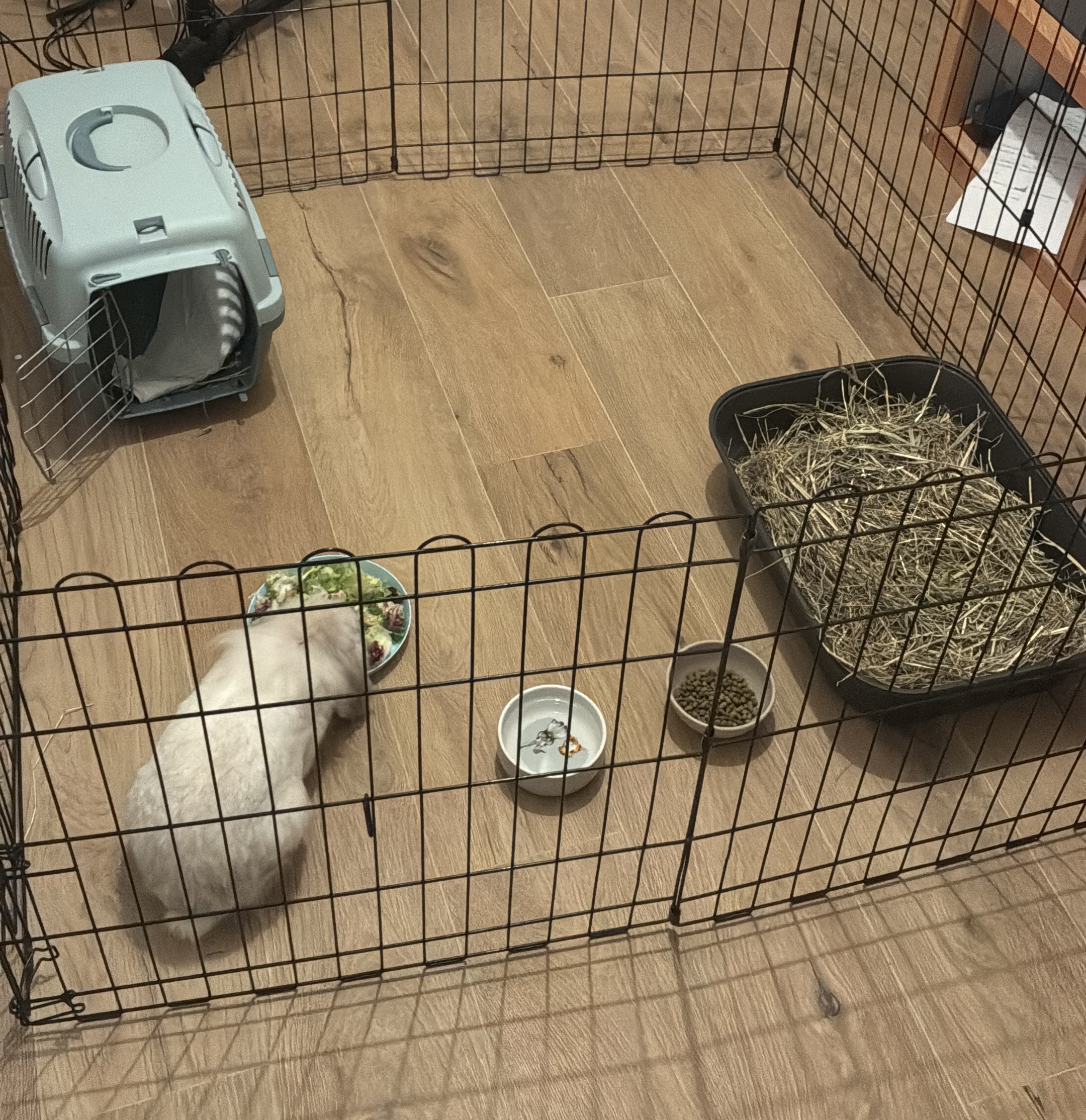 image-18
