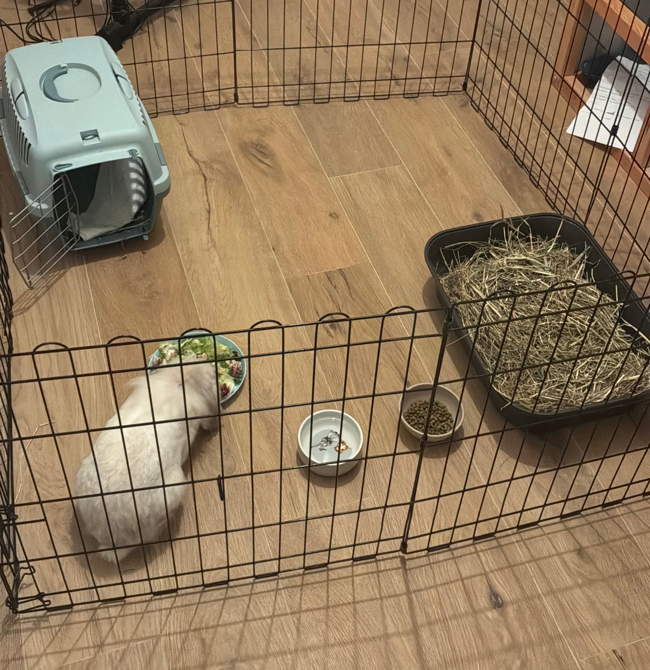 image-18