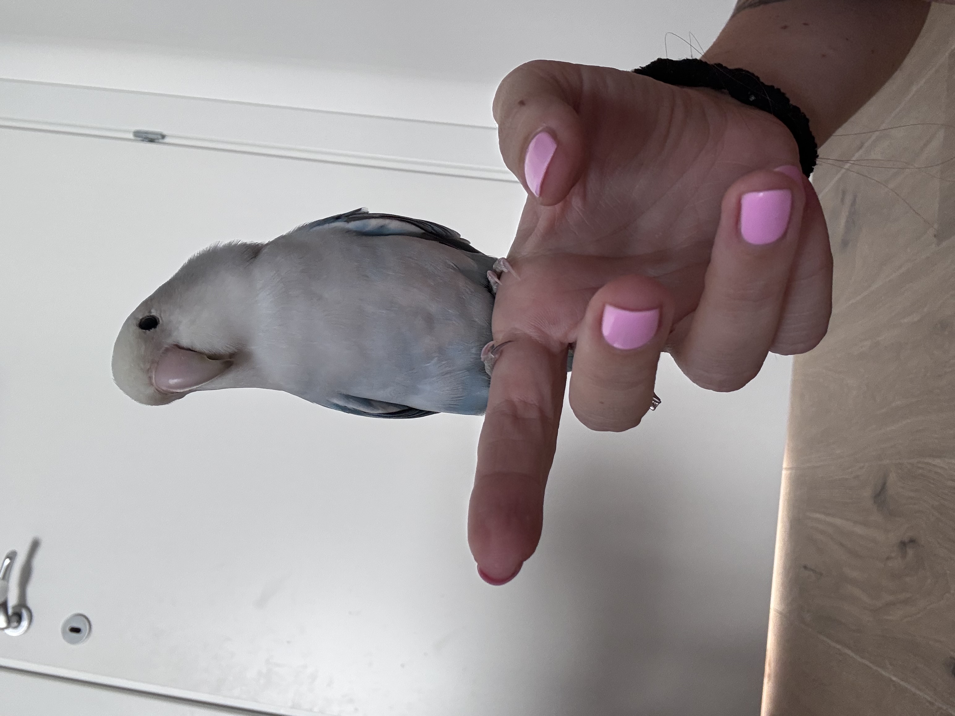 image-9