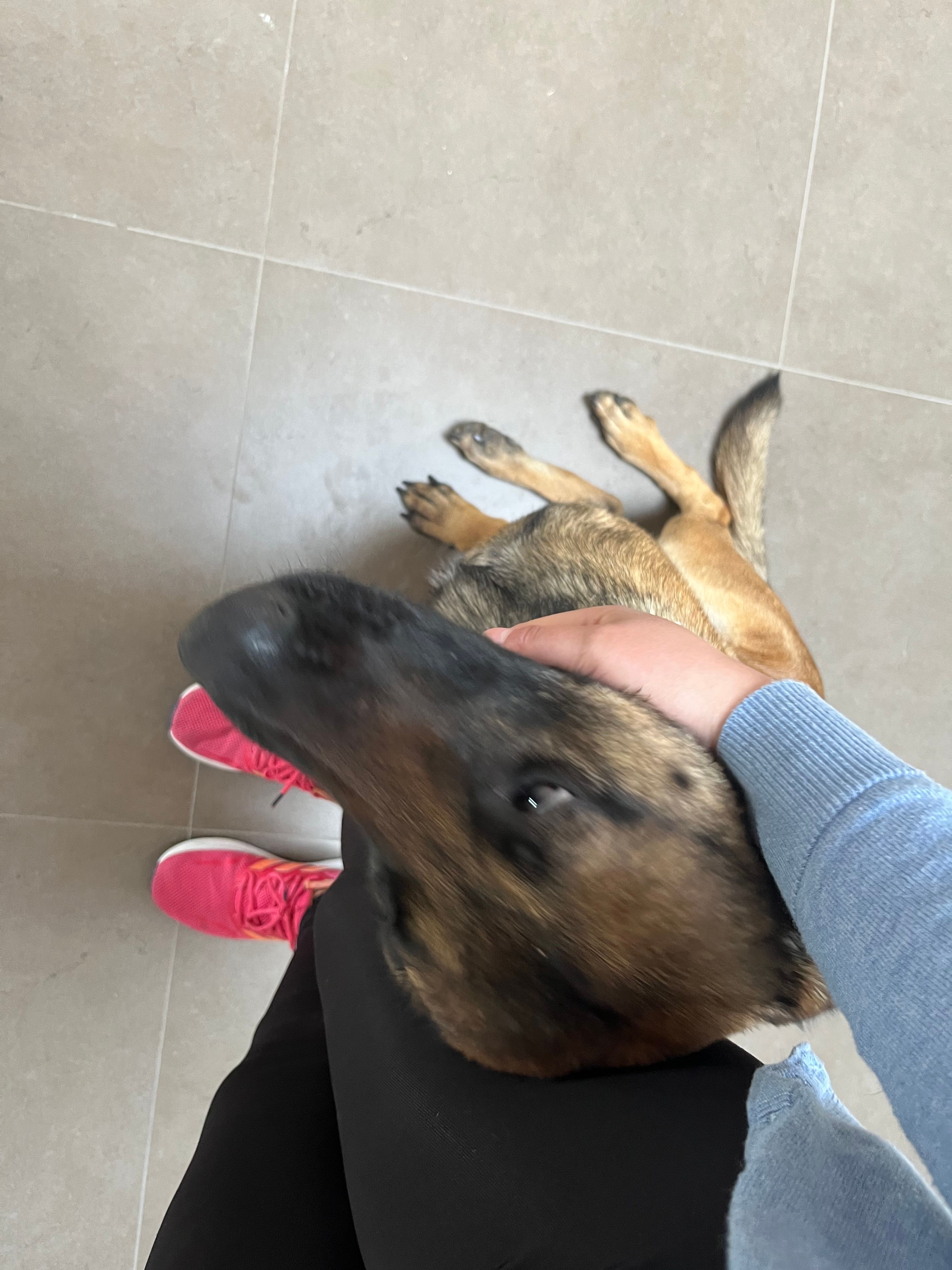 image-6