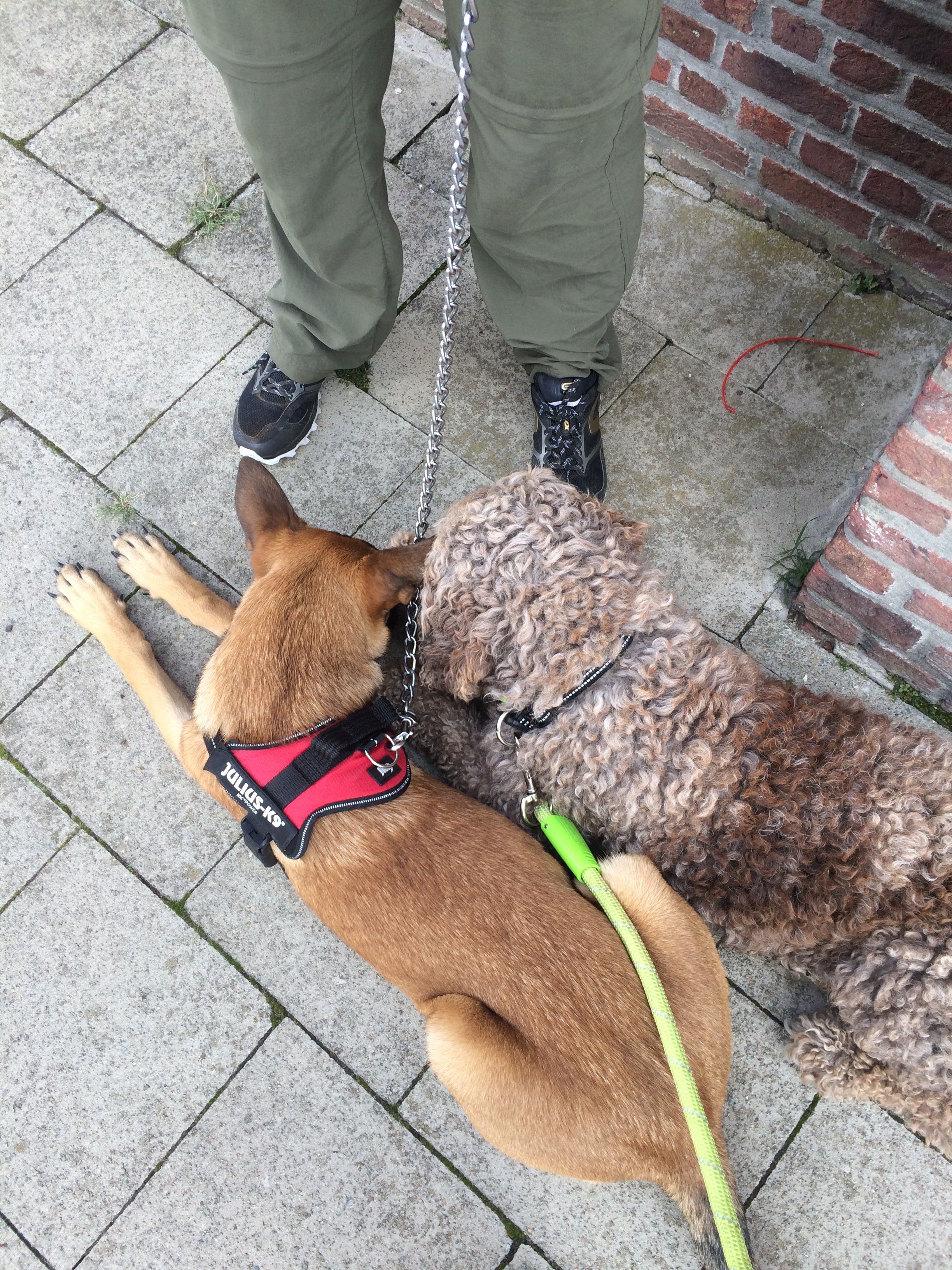 image-3