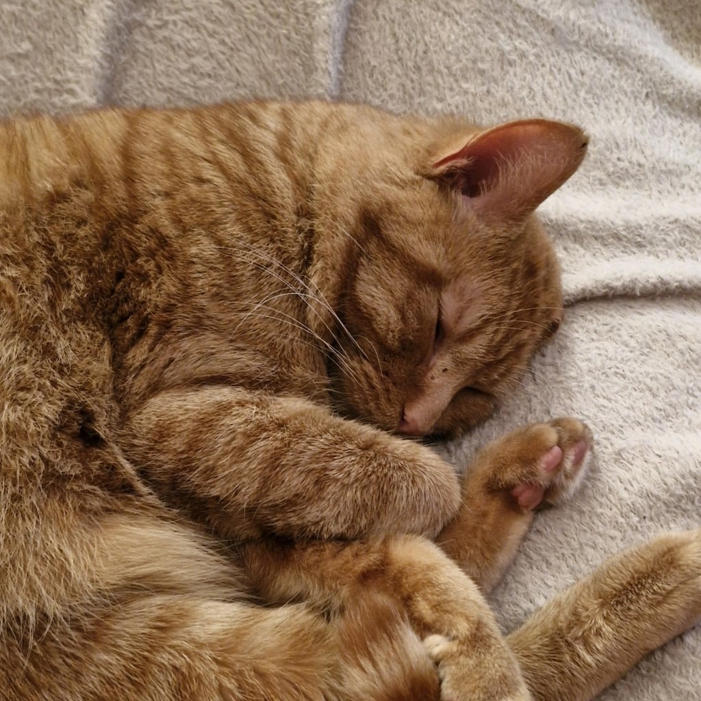 Tigger 