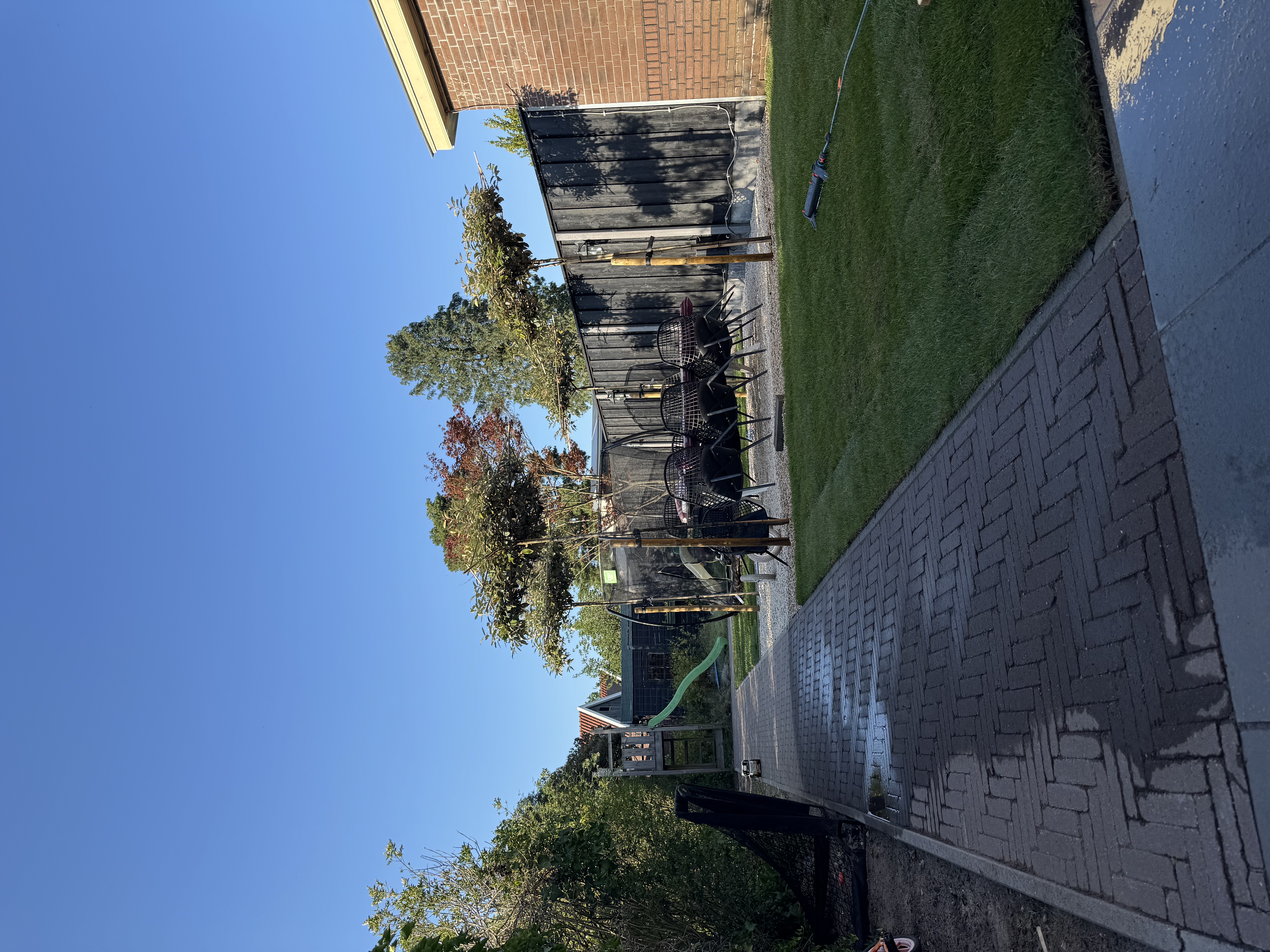 image-7