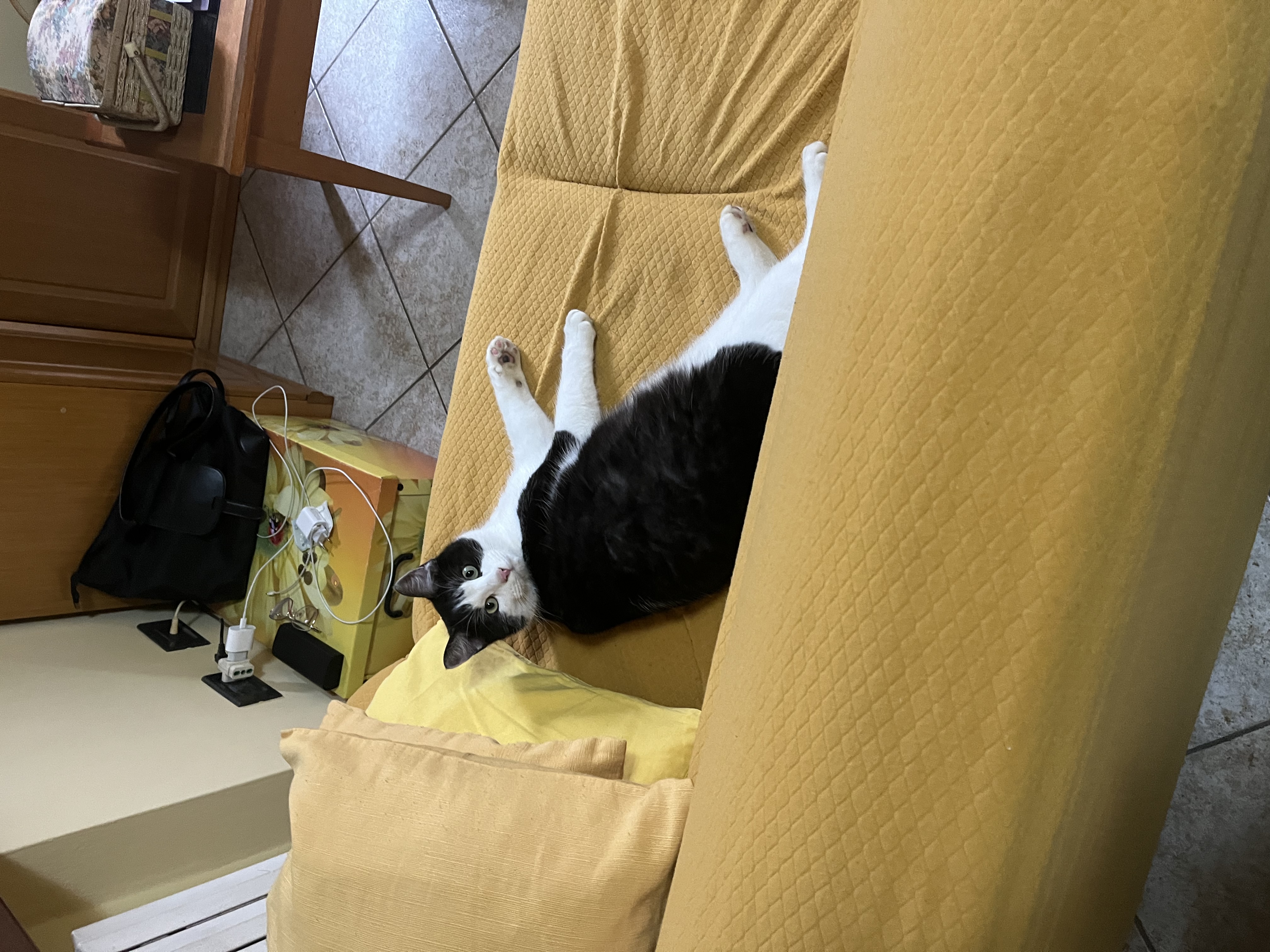 image-8