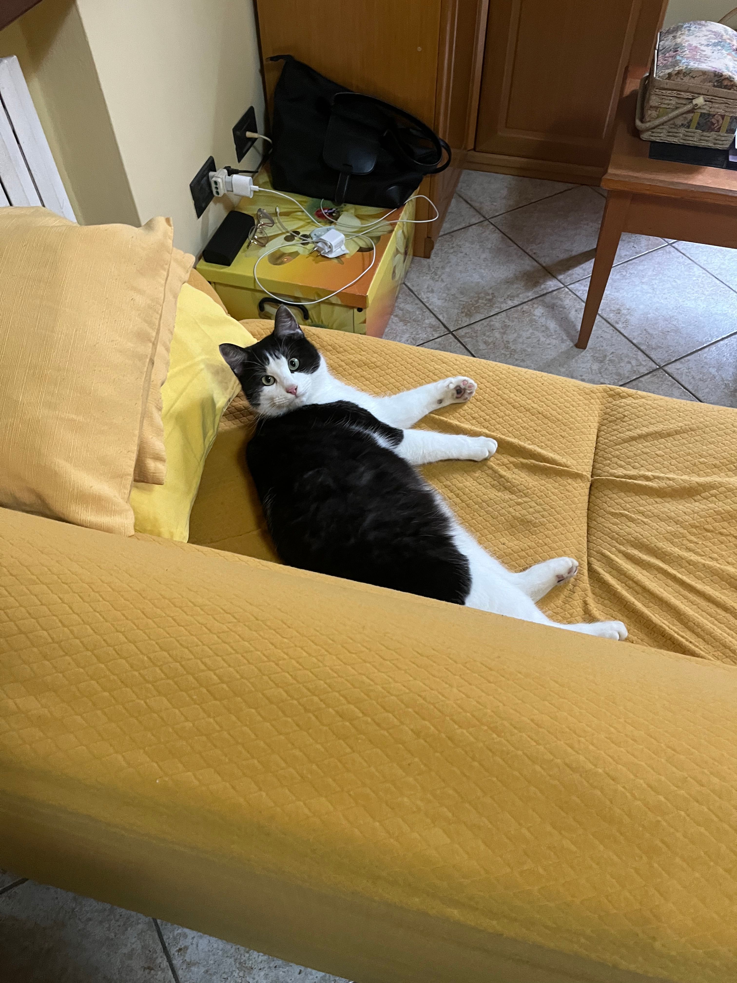 image-8