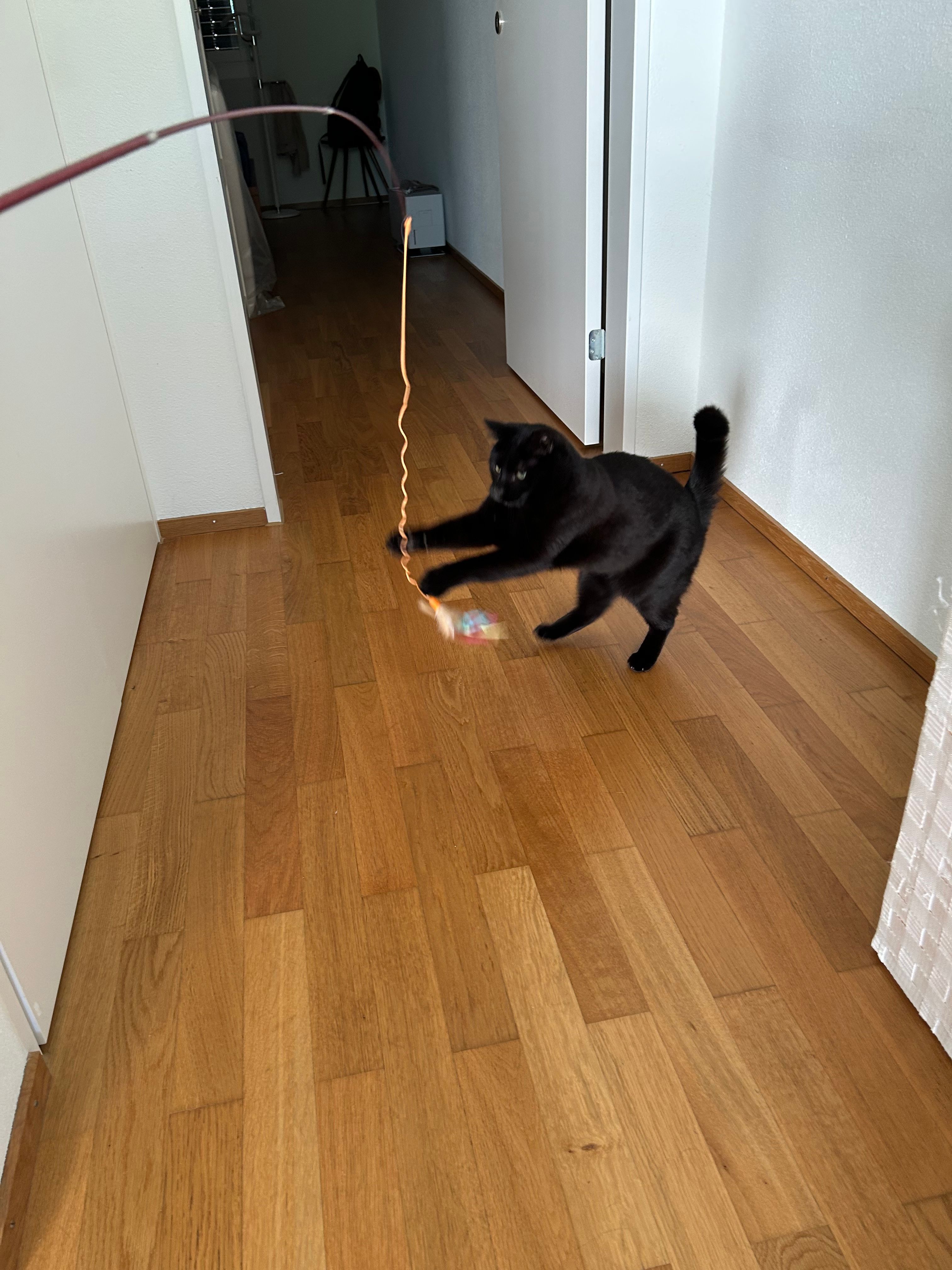 image-18