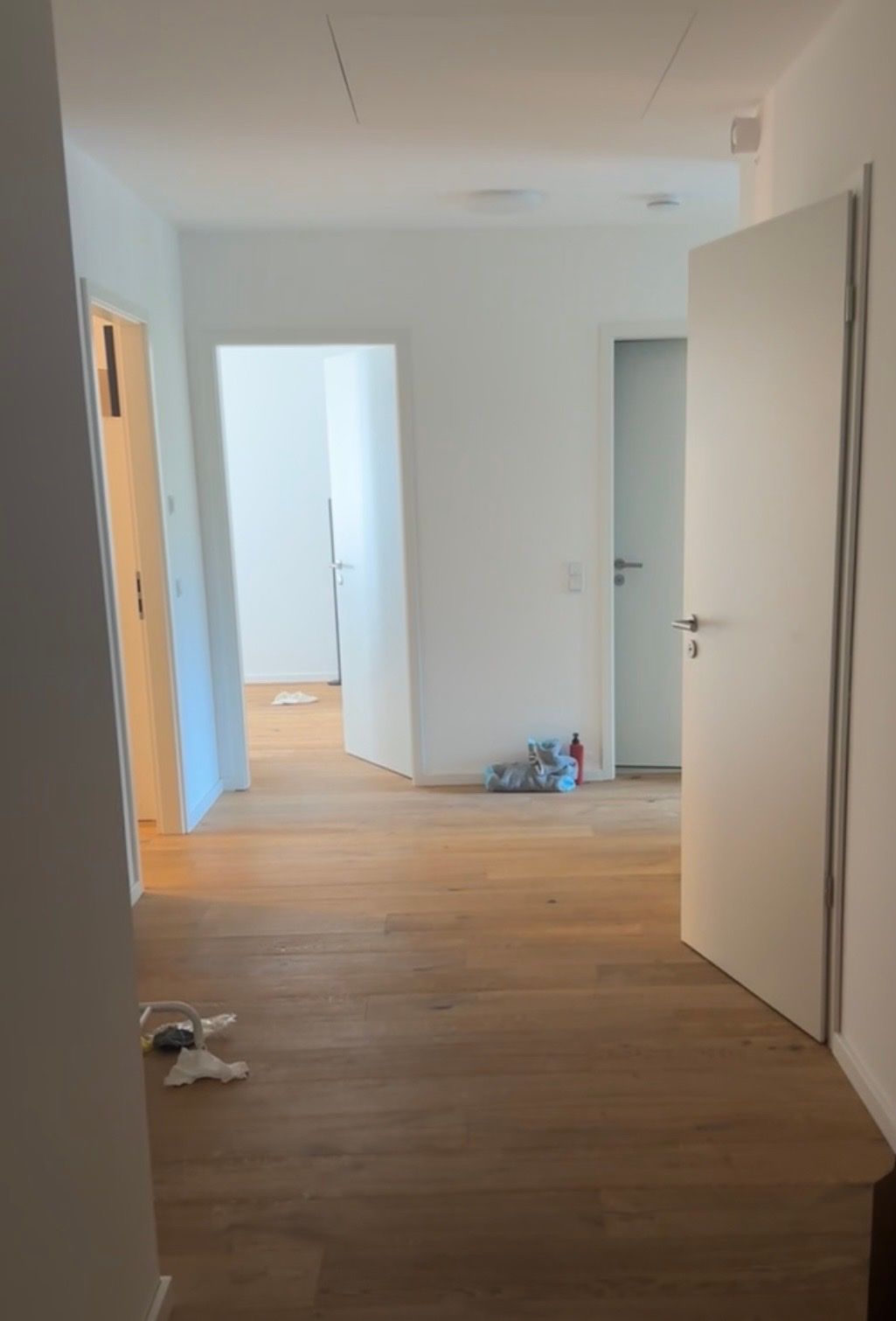 image-20