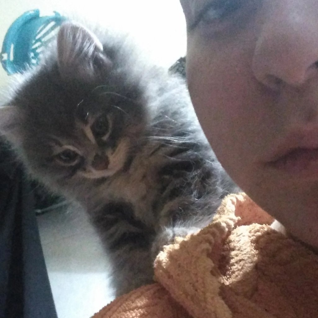 image-8