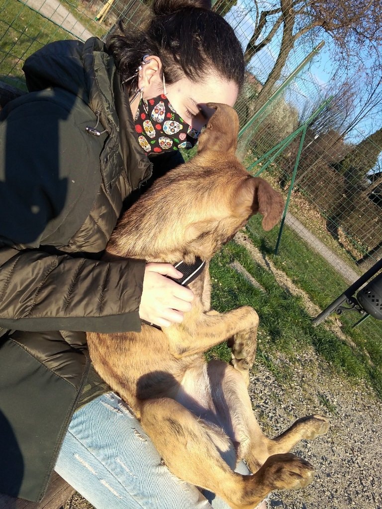 image-7