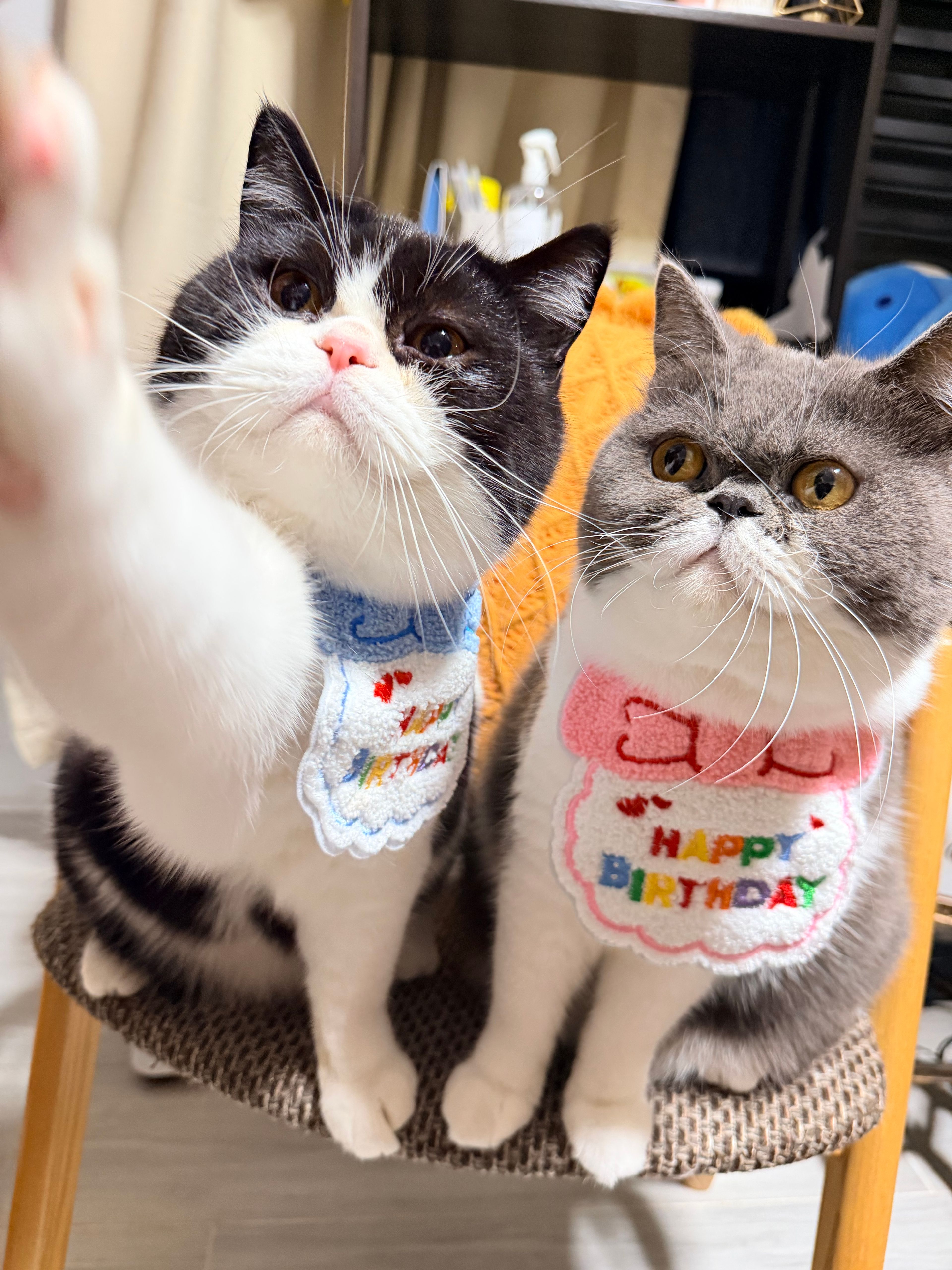 image-12