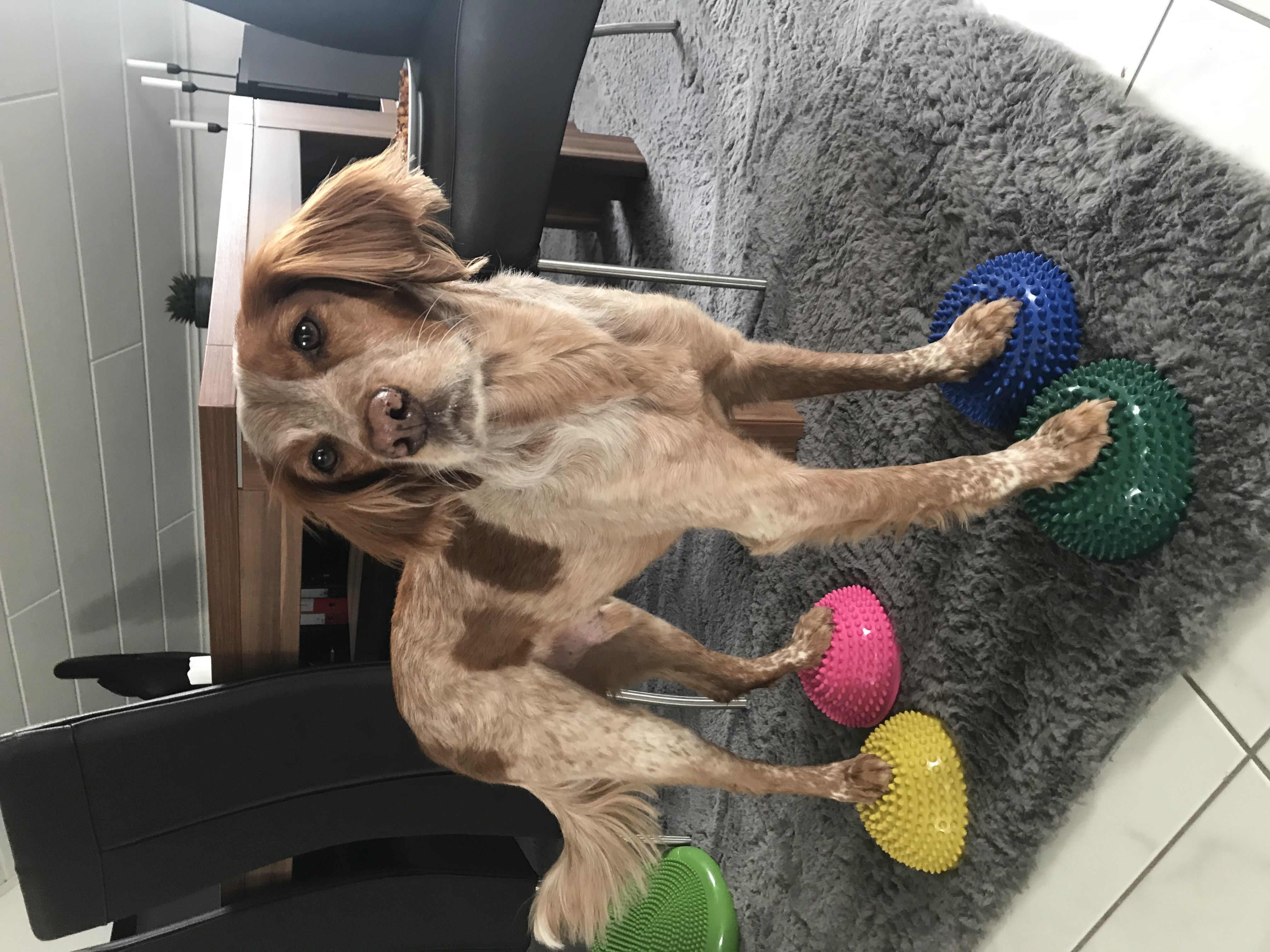 image-6