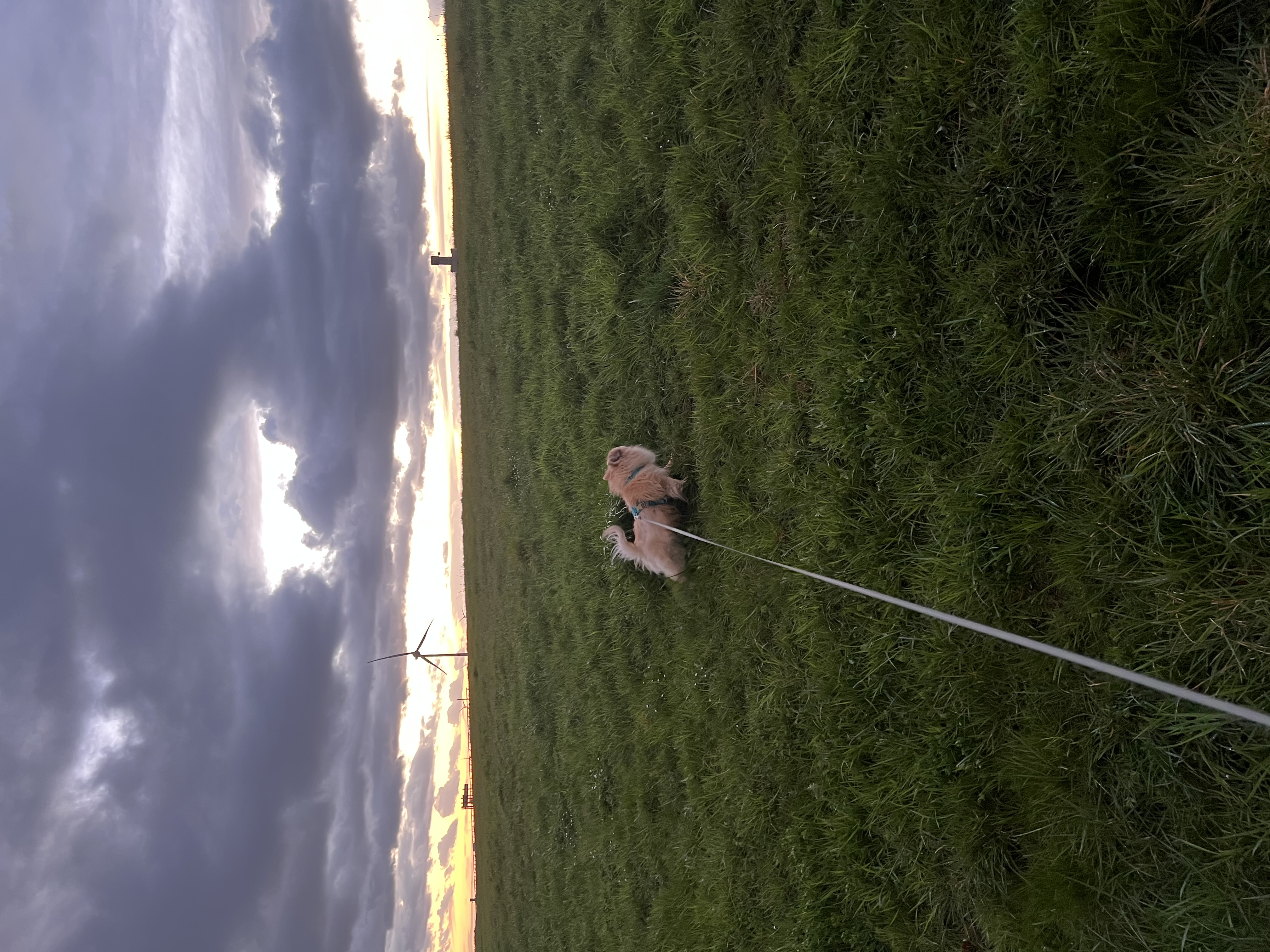 image-14