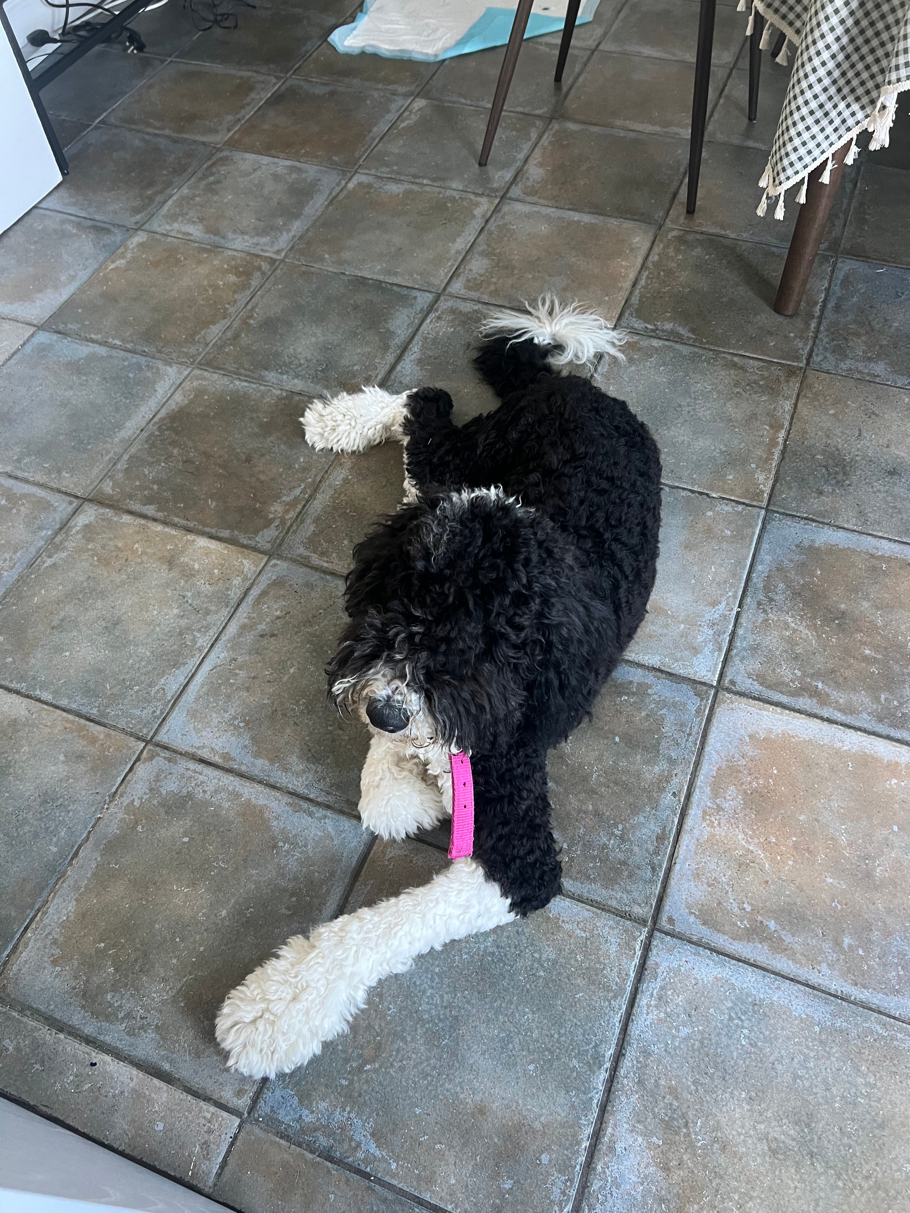 image-18