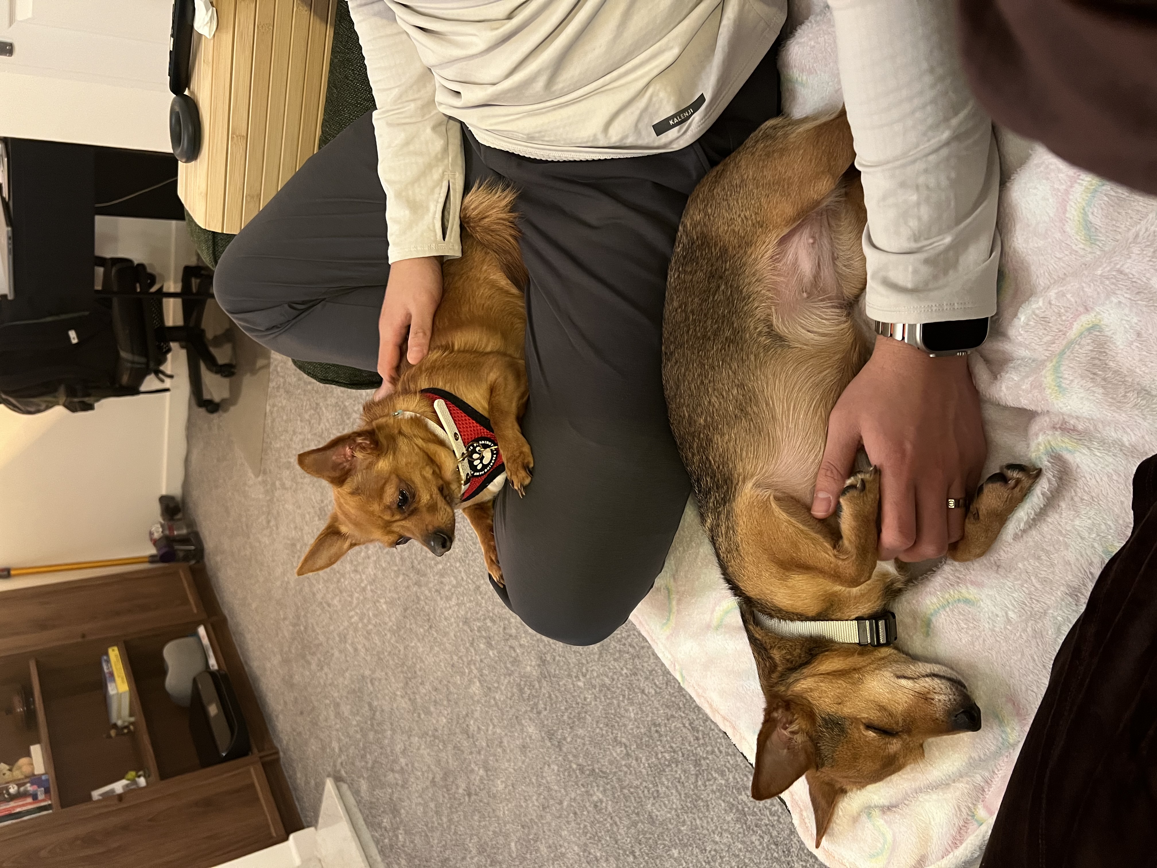 image-6