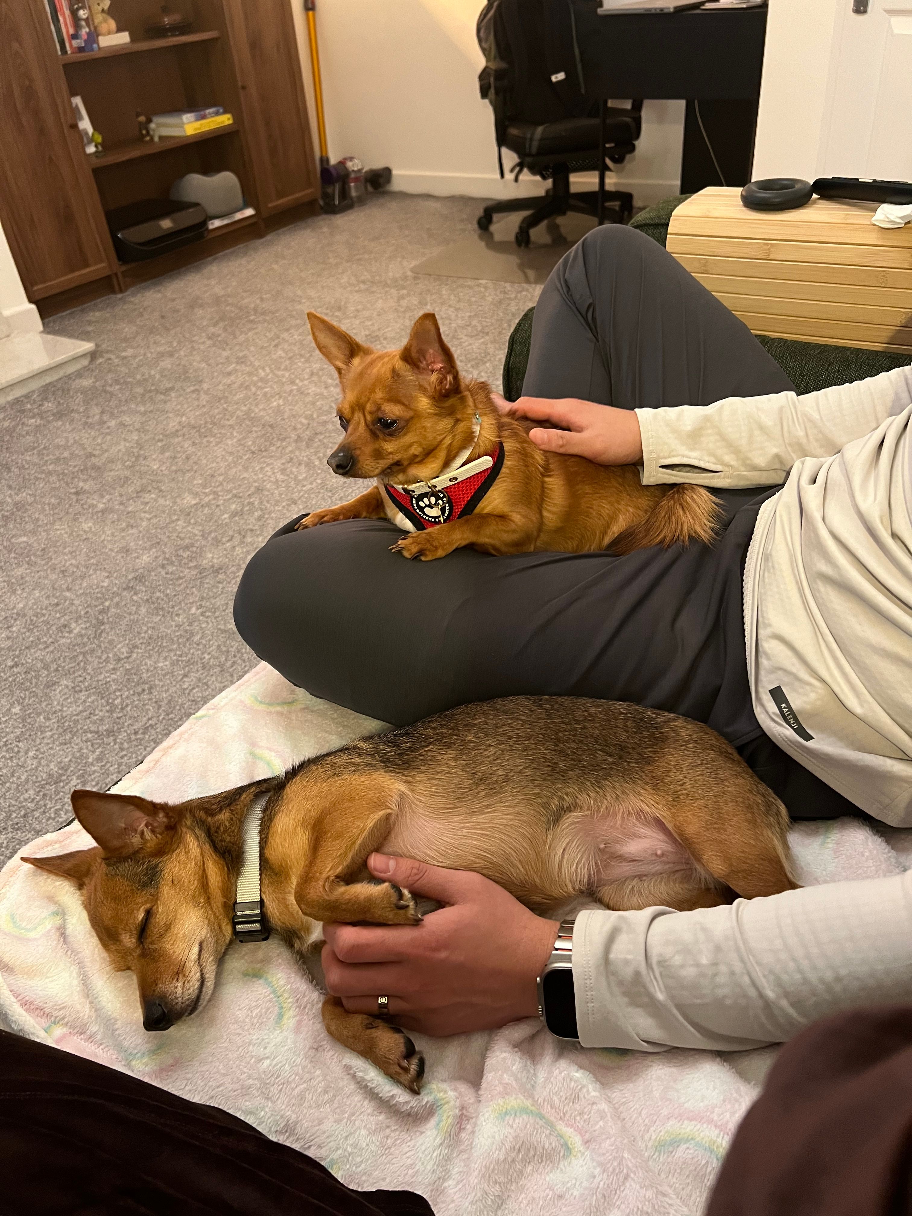 image-6