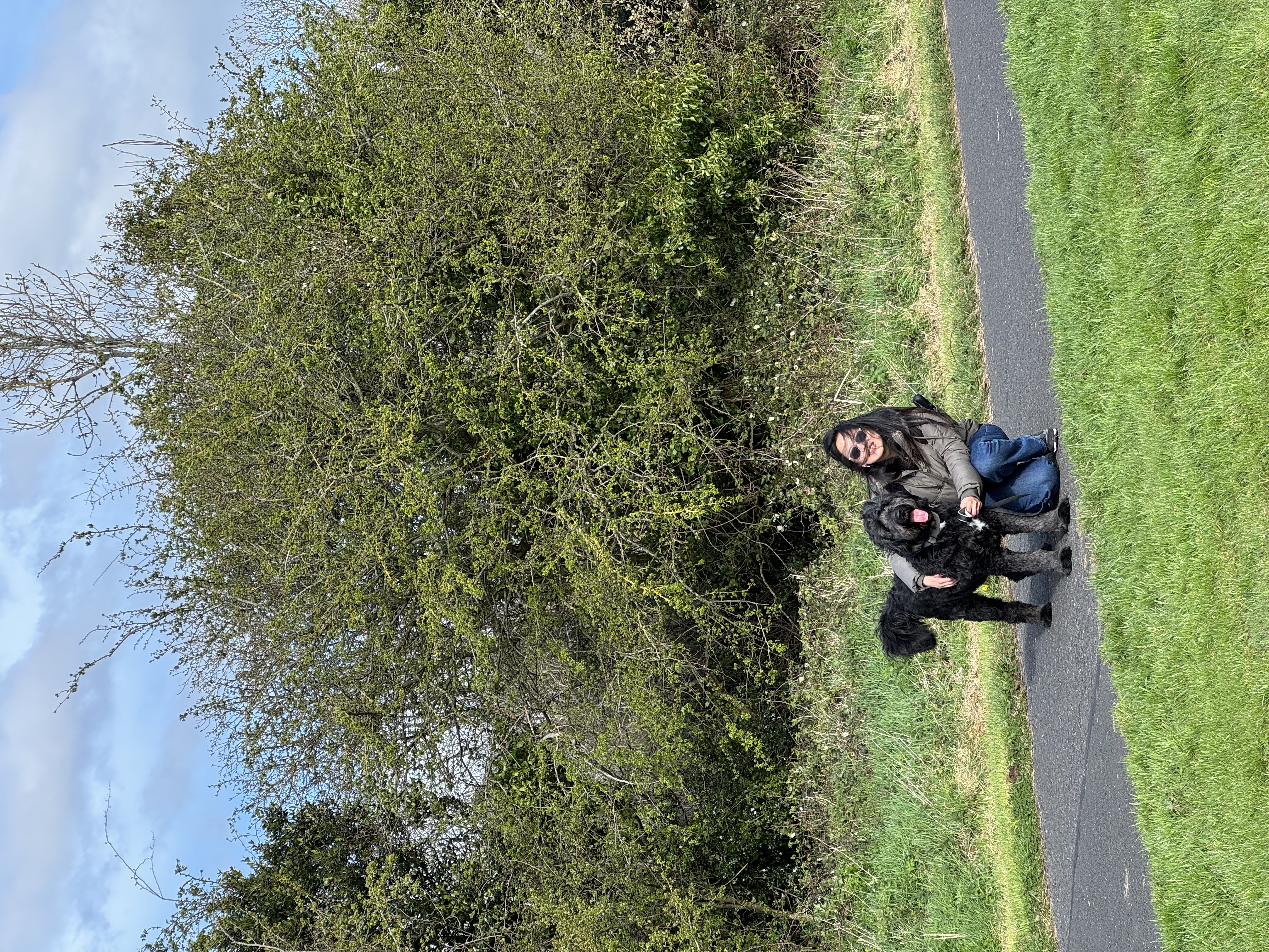 image-4
