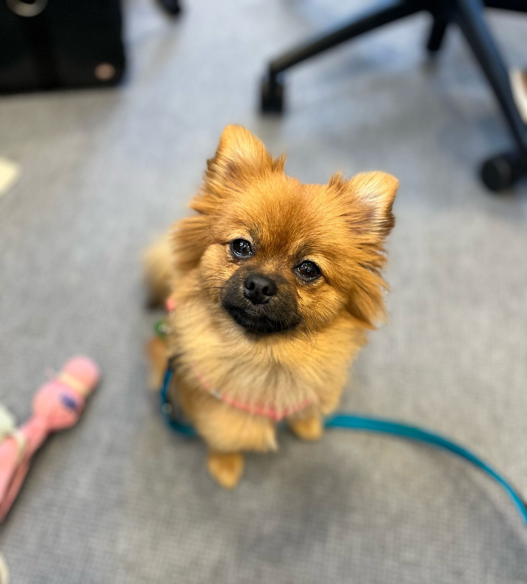 image-8