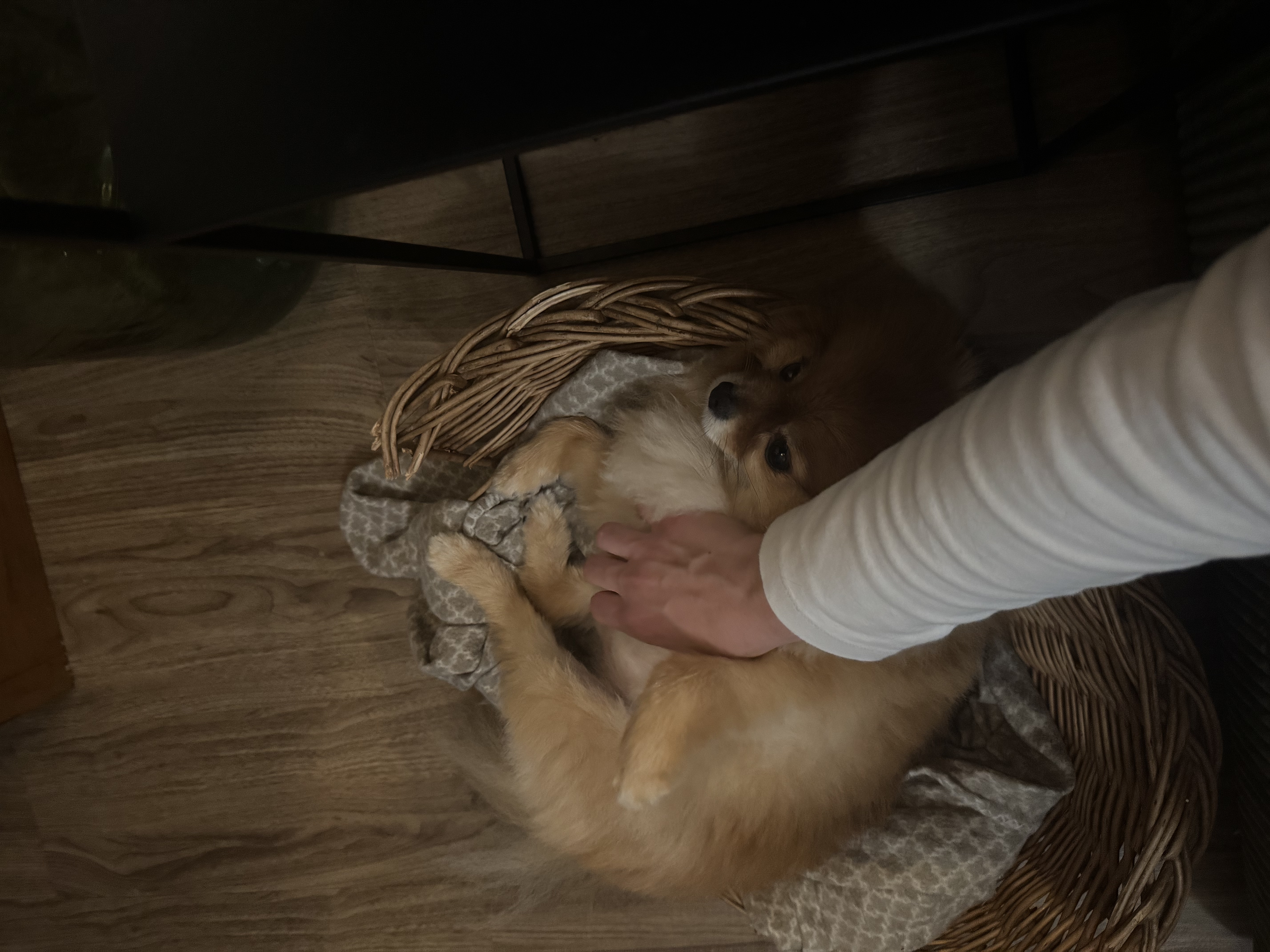 image-5