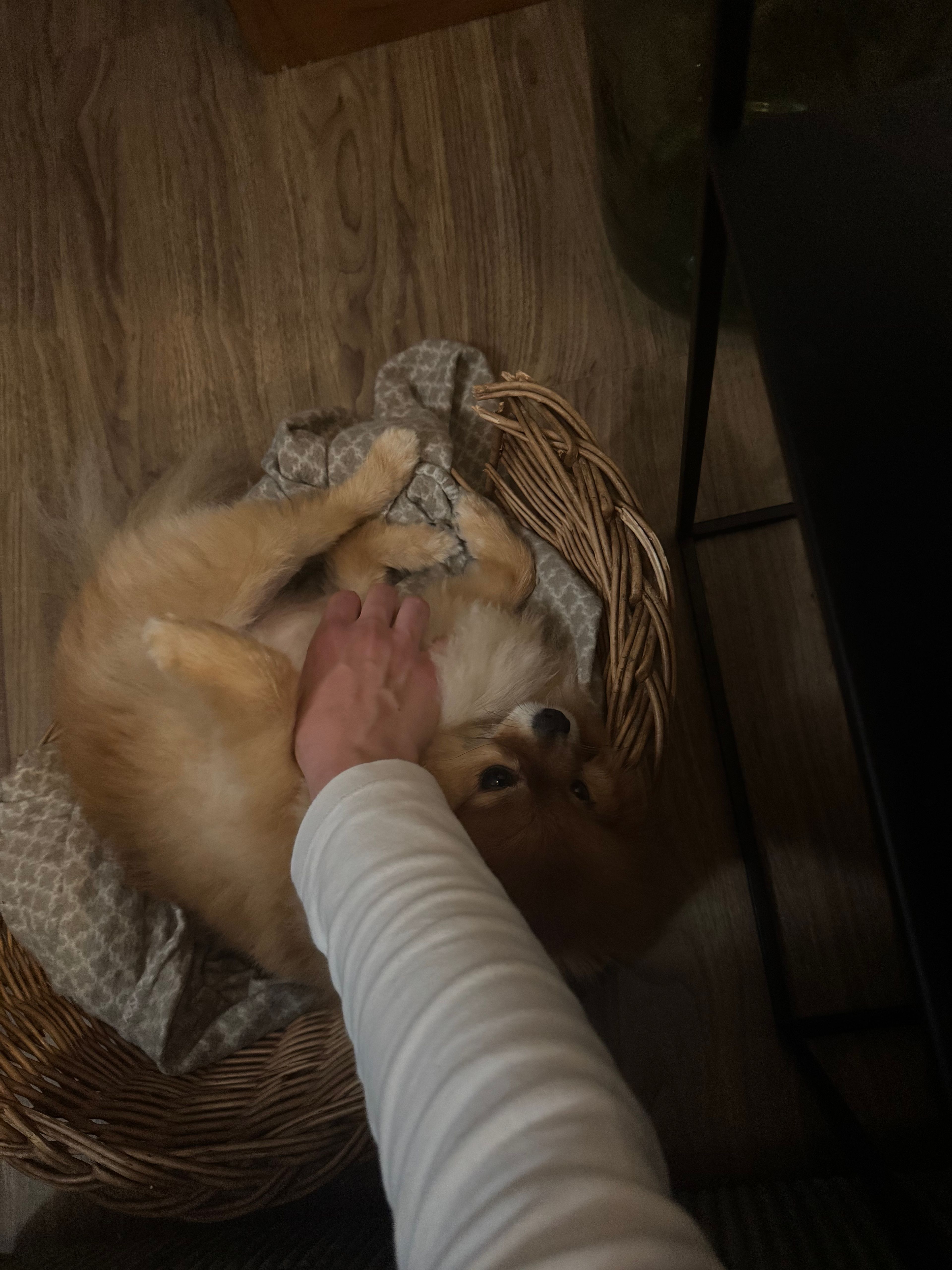 image-5