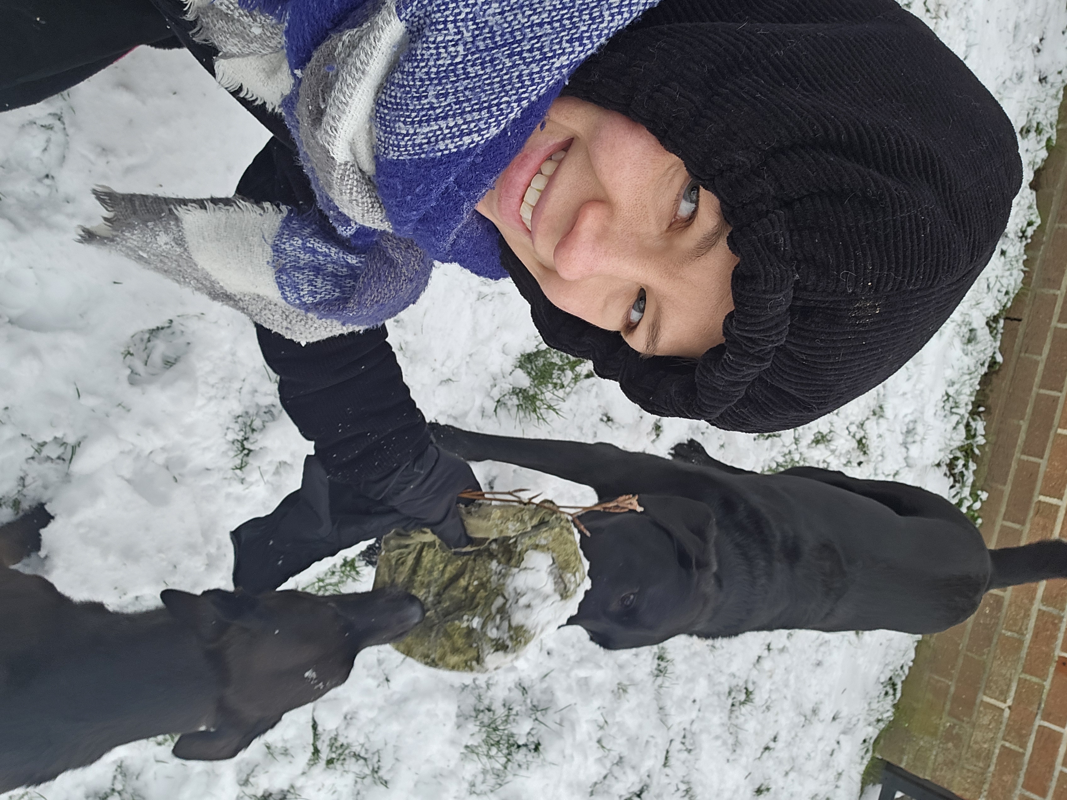 image-15