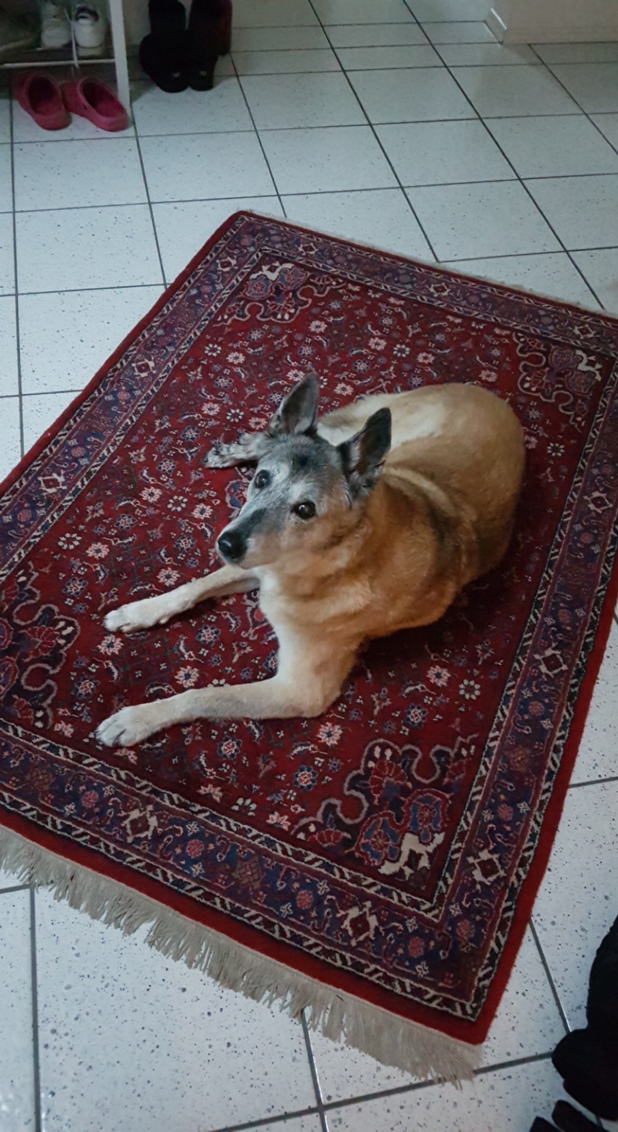image-6