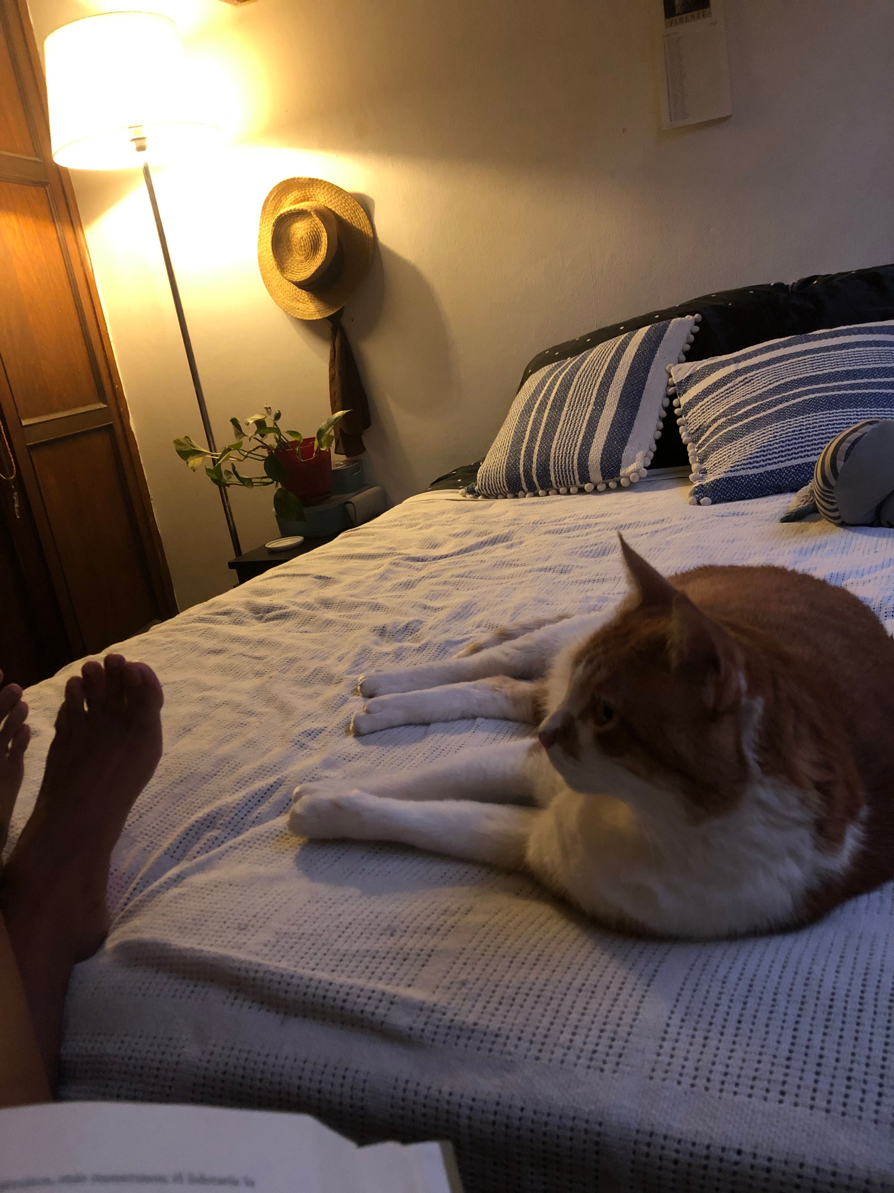 image-11