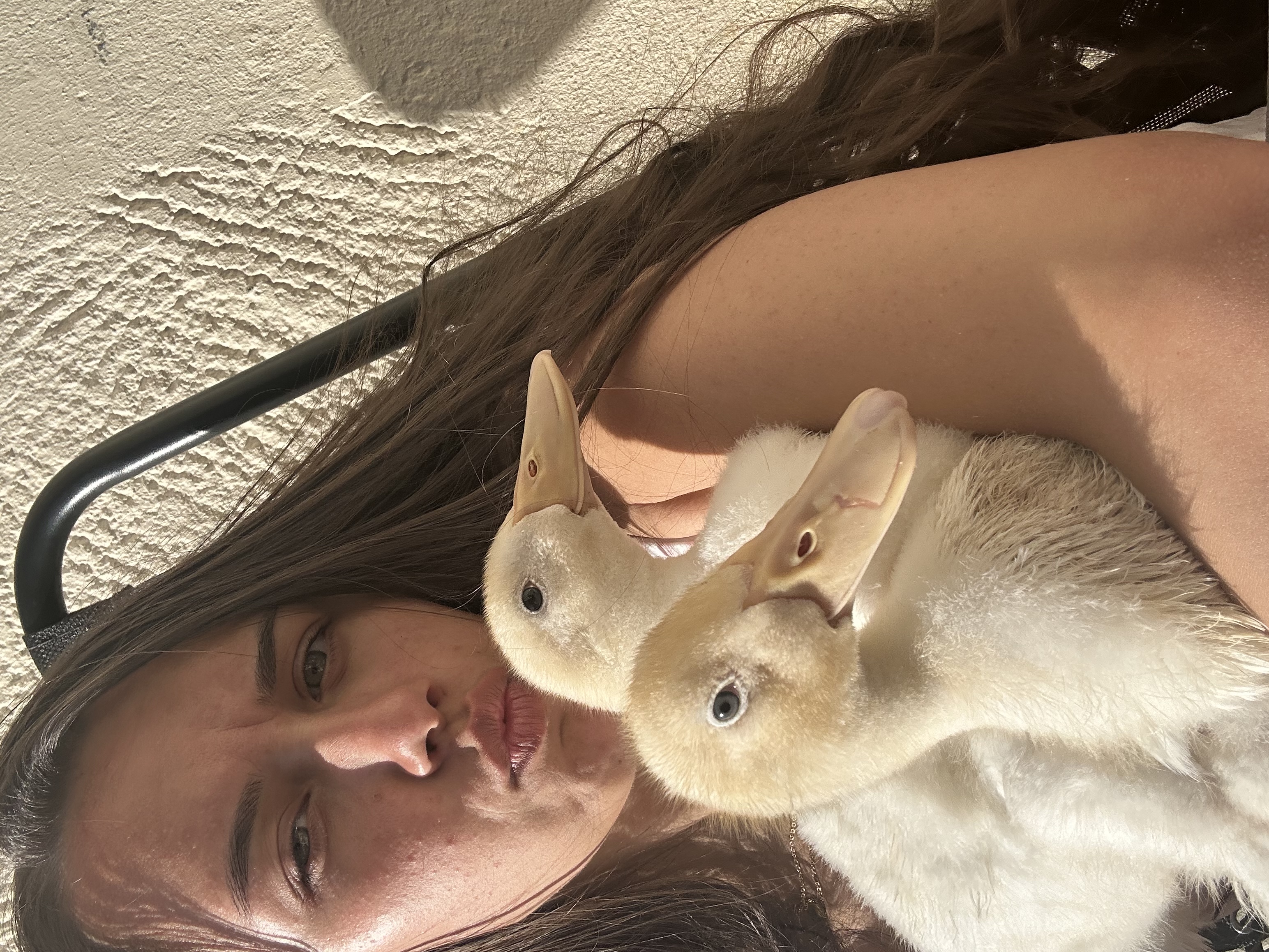 image-8