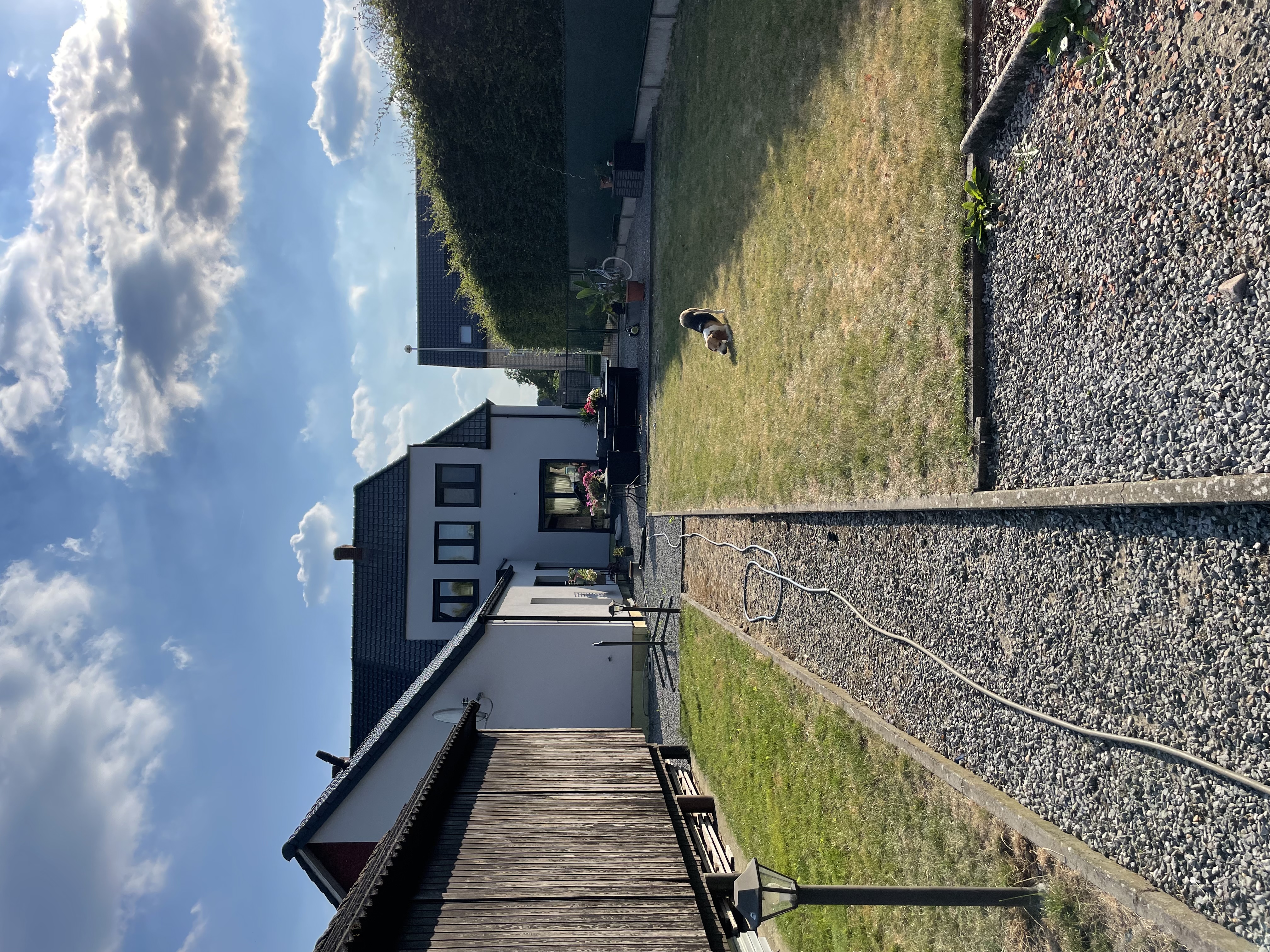 image-14