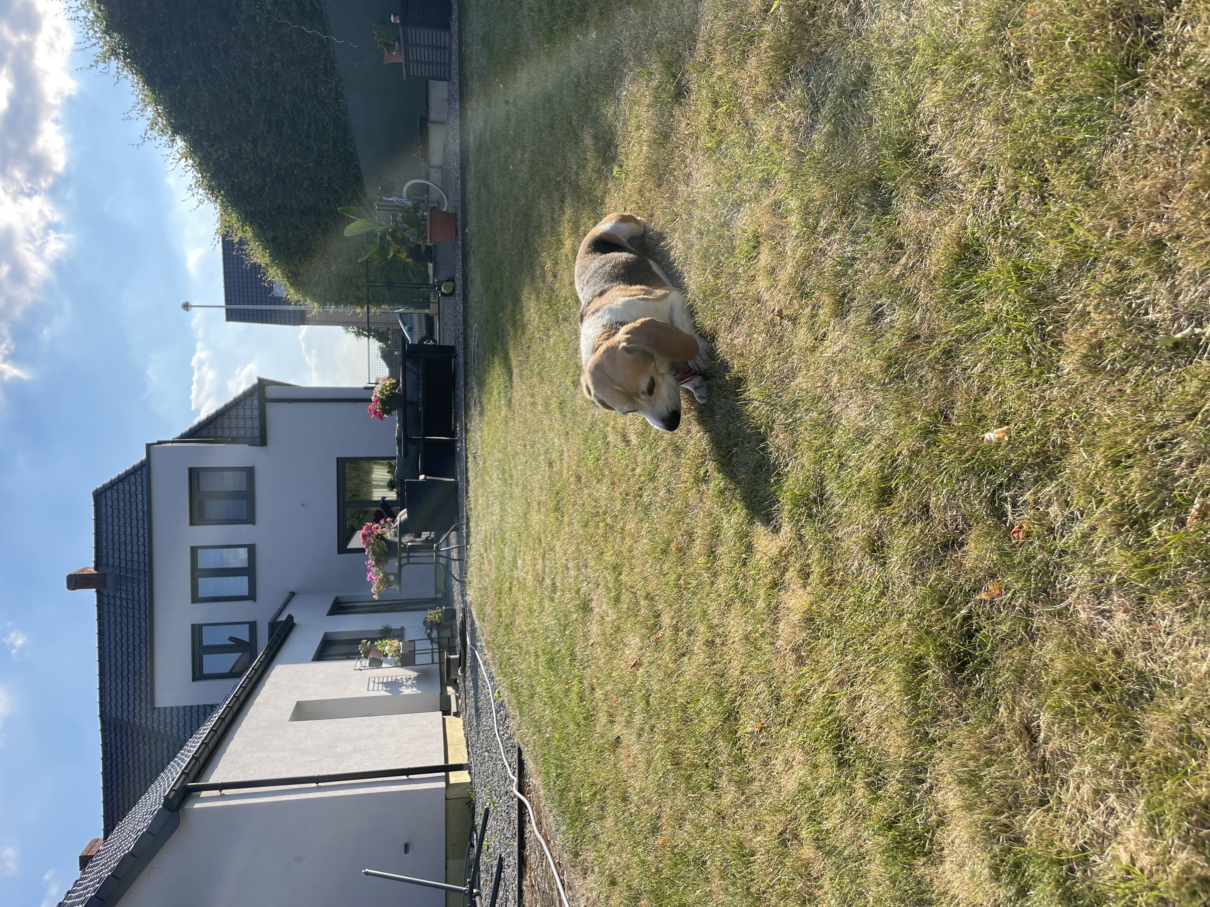 image-16