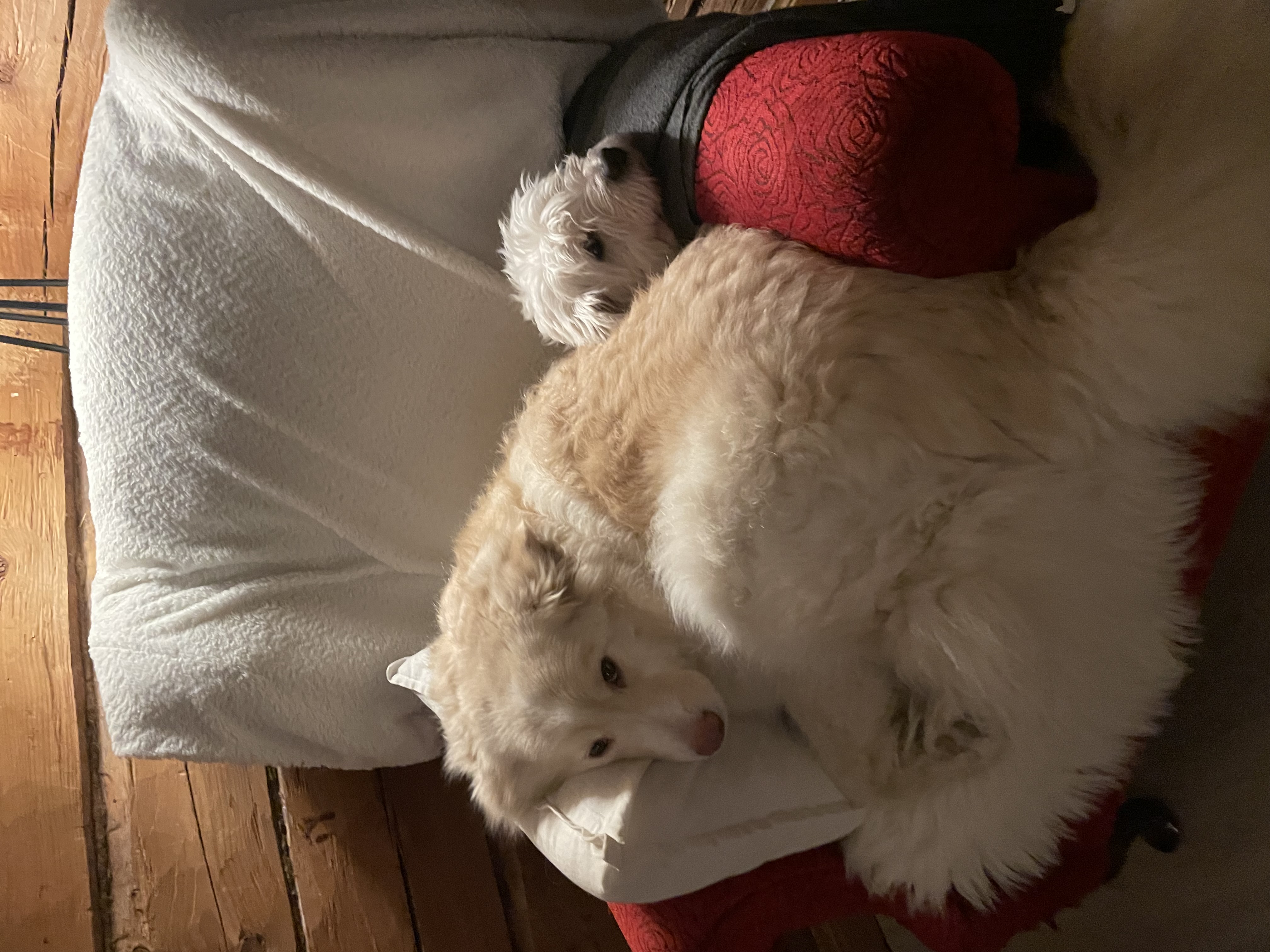 image-9