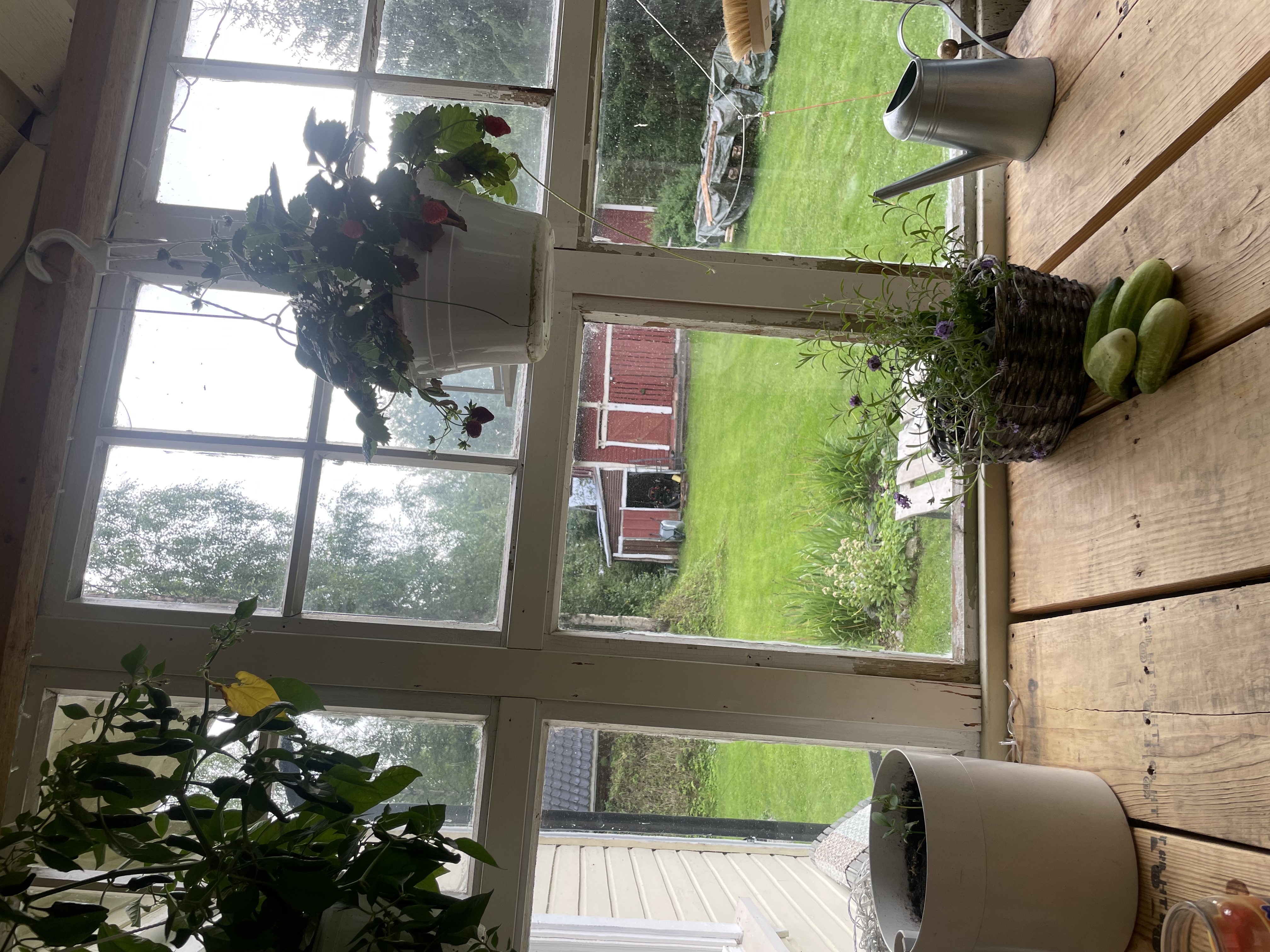 image-15