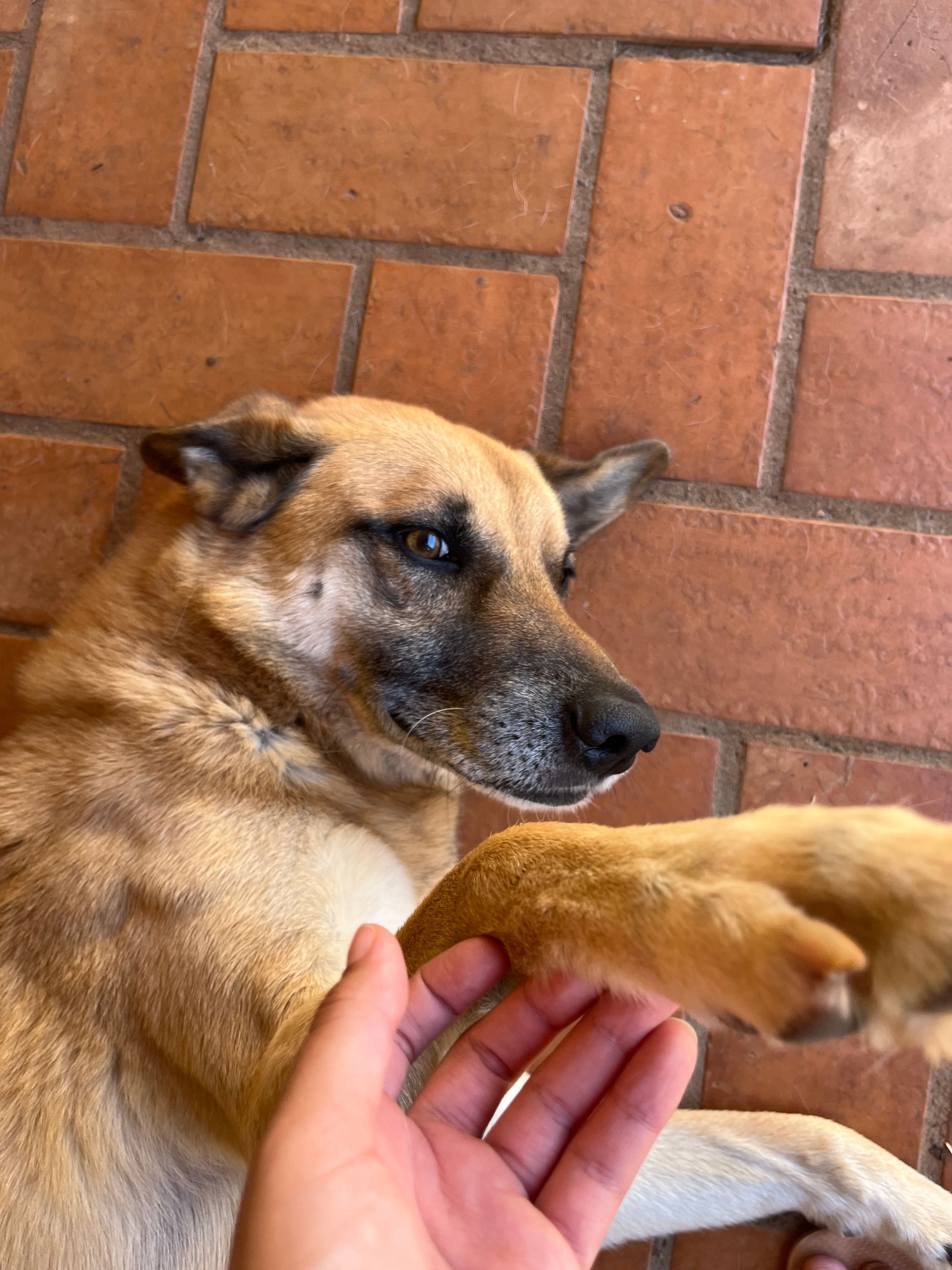 image-8