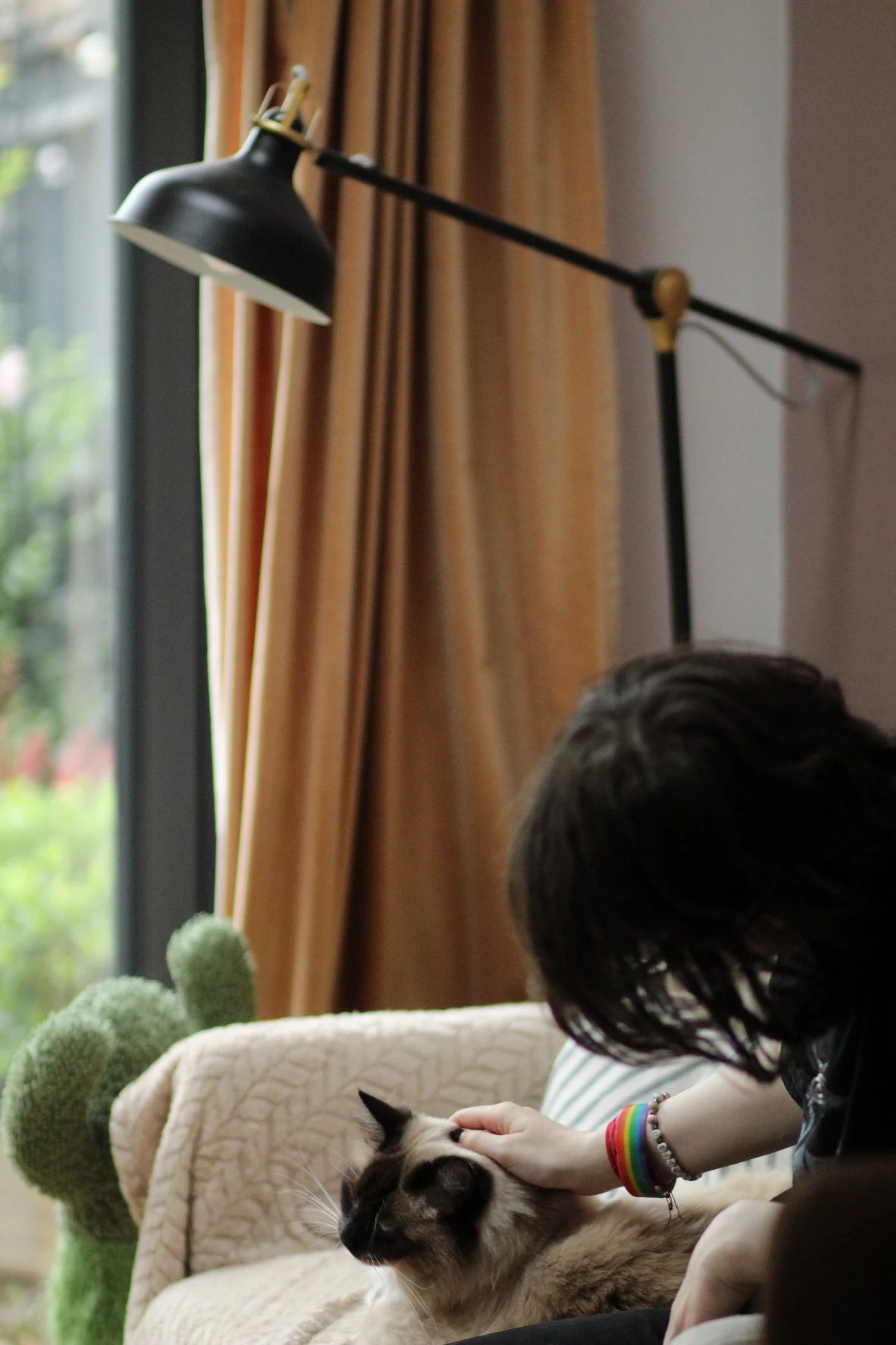 image-5