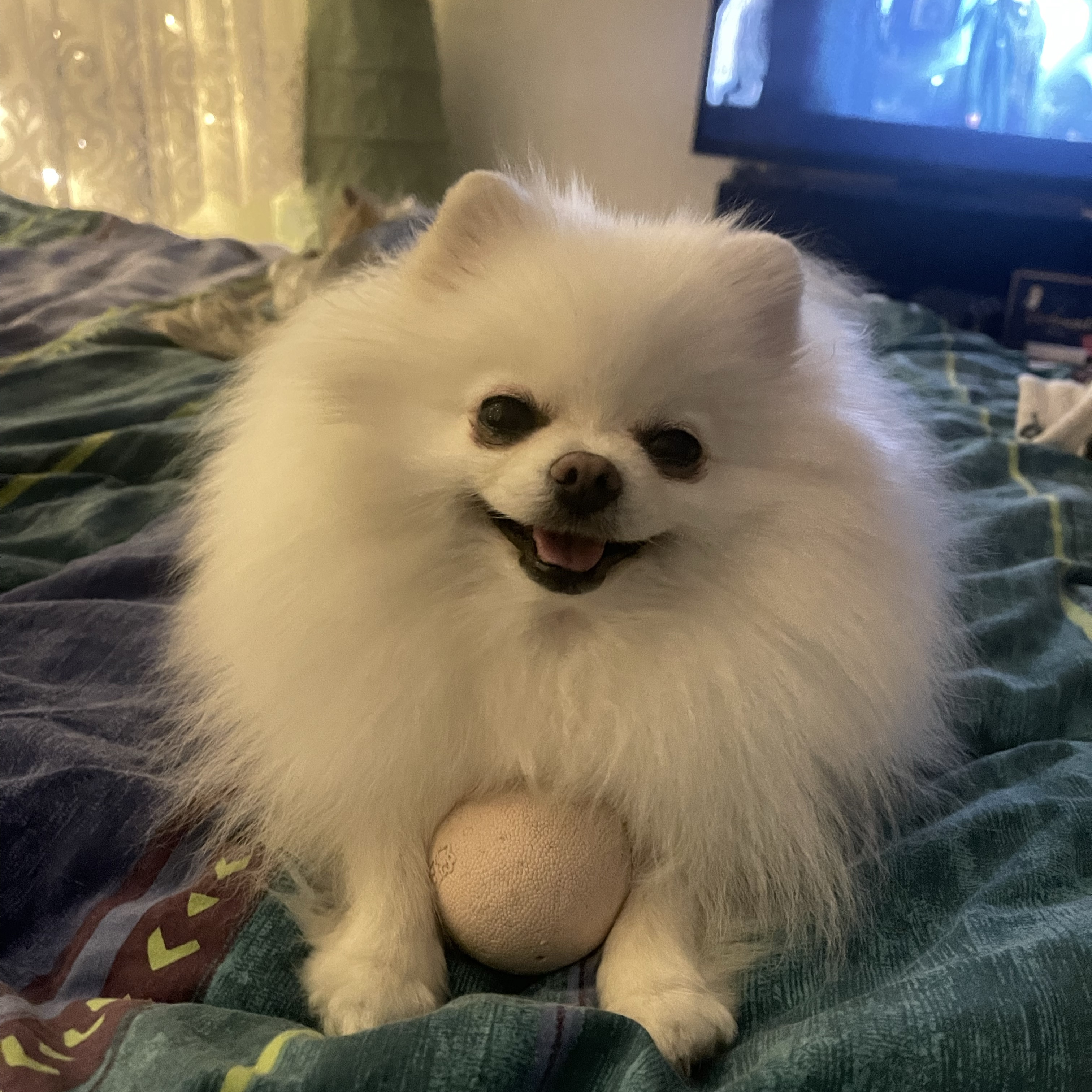 Bulka