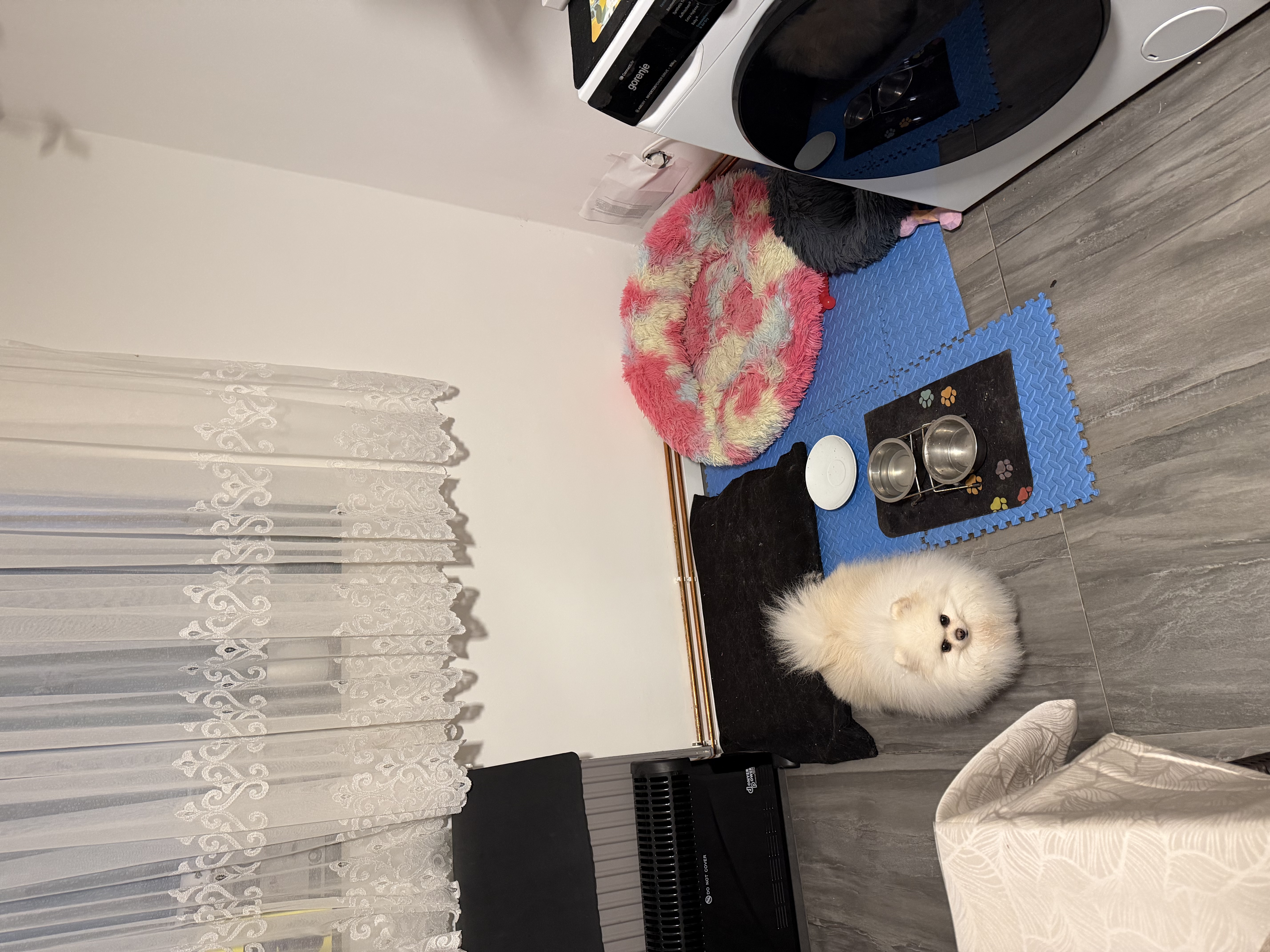 image-9