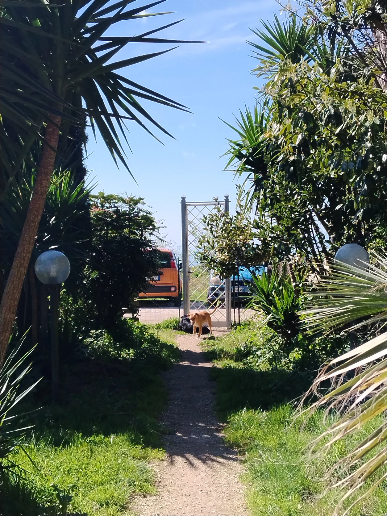 image-15