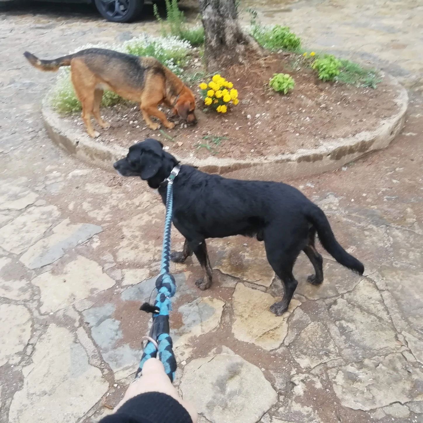 image-6