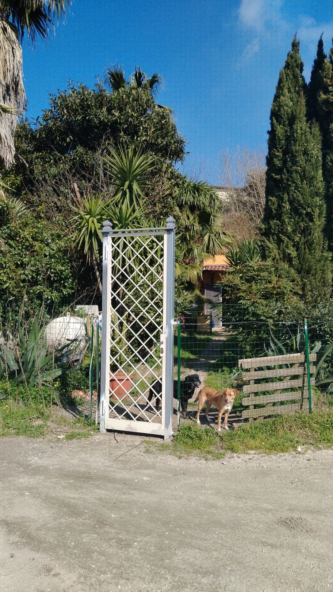 image-12