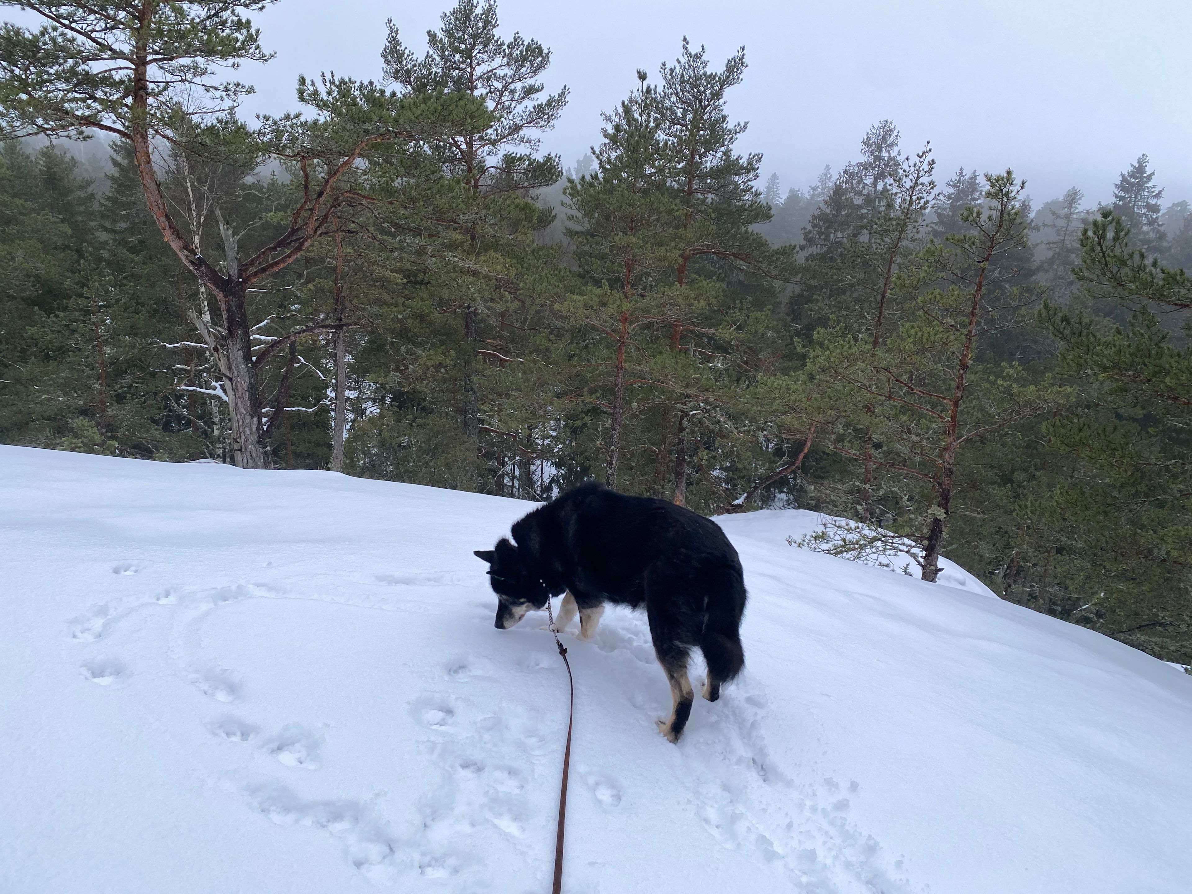 image-6