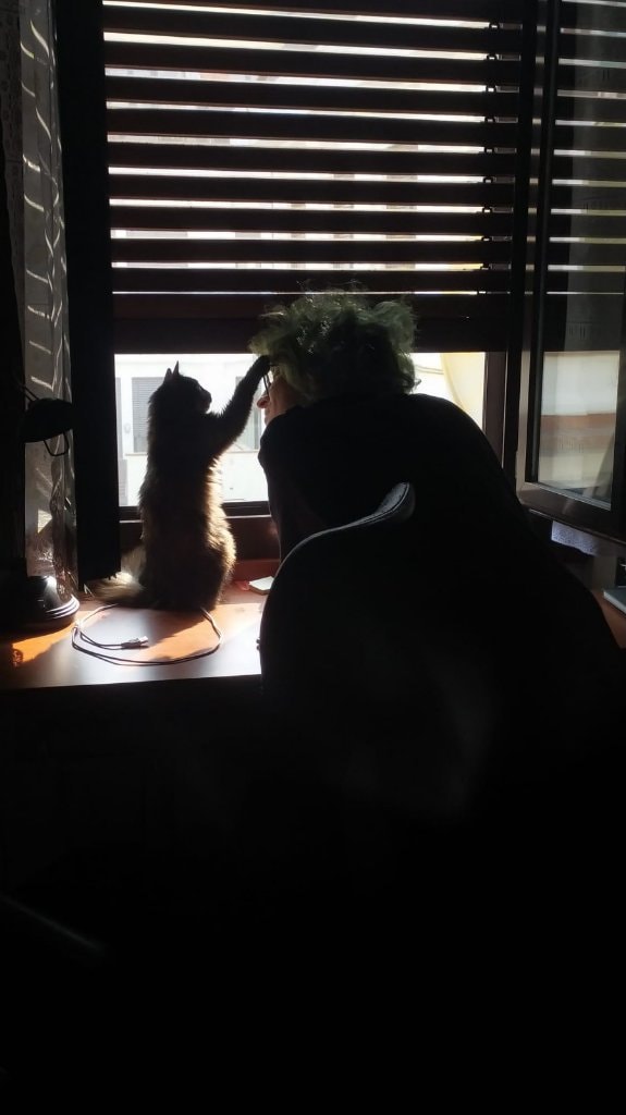 image-5
